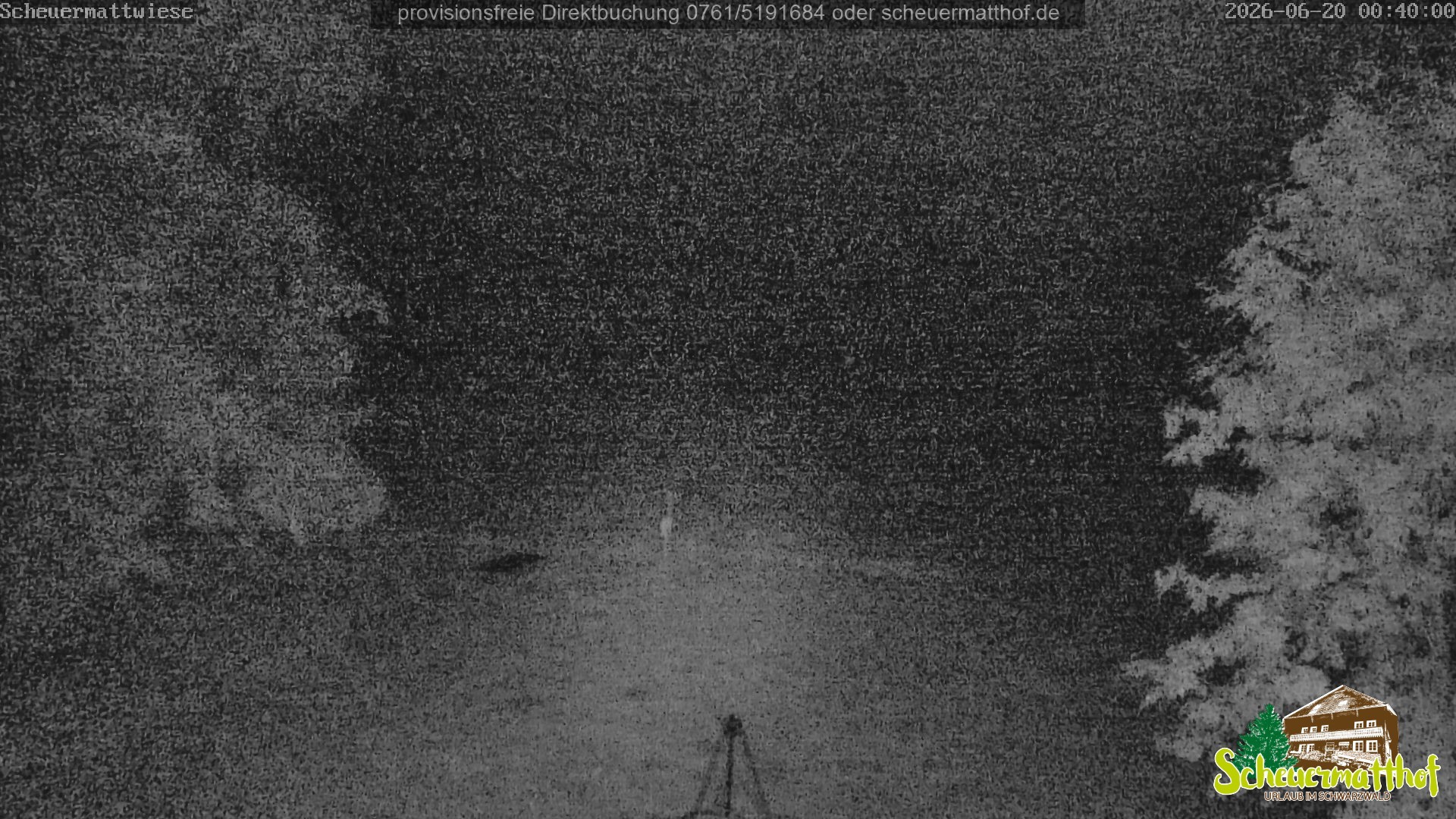 Archiv Foto Webcam Todtnauberg - Scheuermattwiese