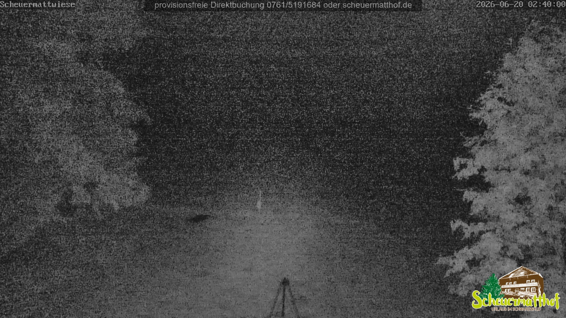 Archiv Foto Webcam Todtnauberg - Scheuermattwiese