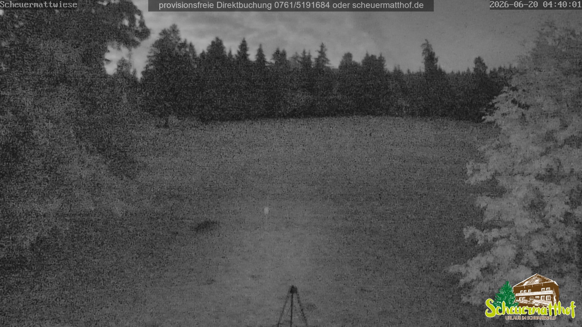 Archiv Foto Webcam Todtnauberg - Scheuermattwiese