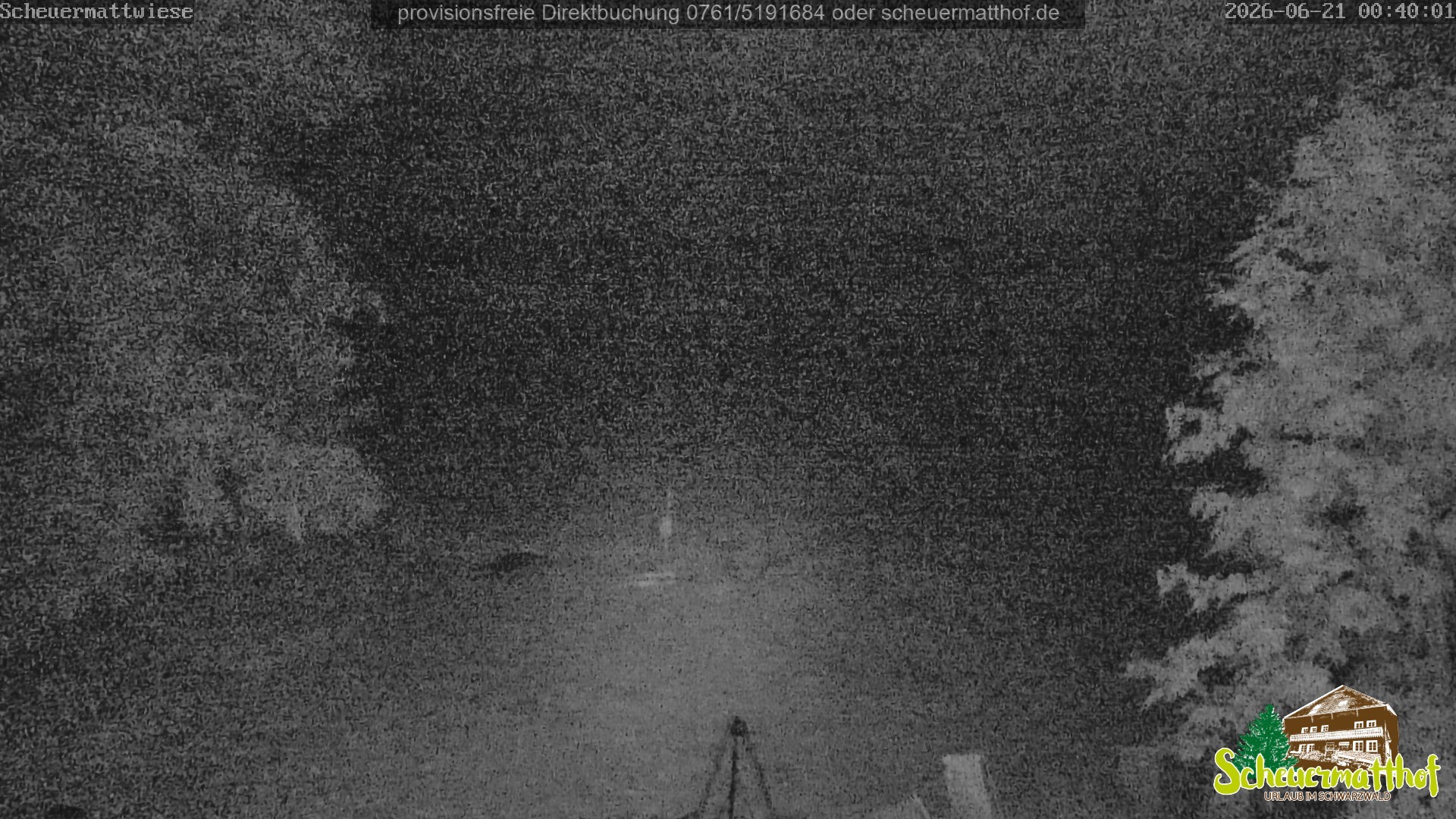 Archiv Foto Webcam Todtnauberg - Scheuermattwiese