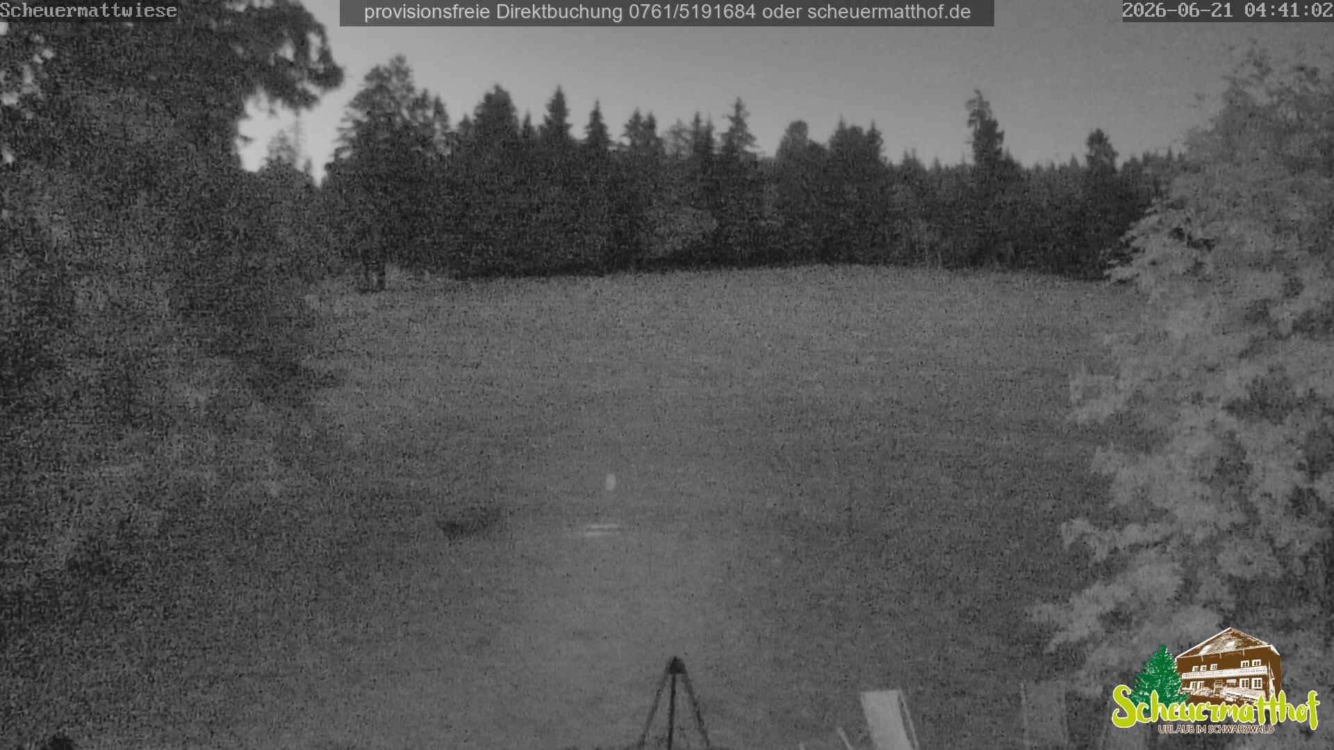 Archiv Foto Webcam Todtnauberg - Scheuermattwiese