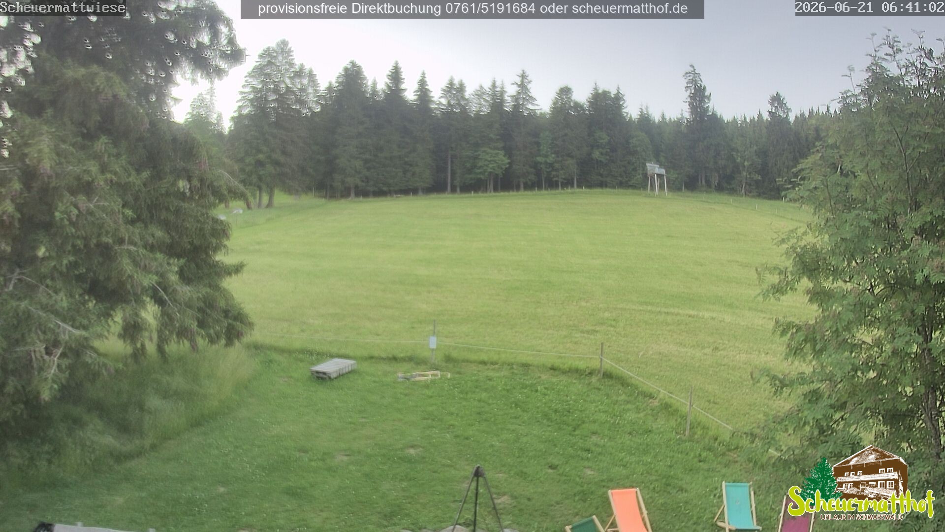 Archiv Foto Webcam Todtnauberg - Scheuermattwiese