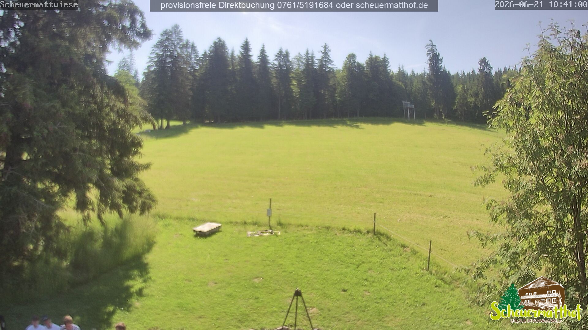Archiv Foto Webcam Todtnauberg - Scheuermattwiese