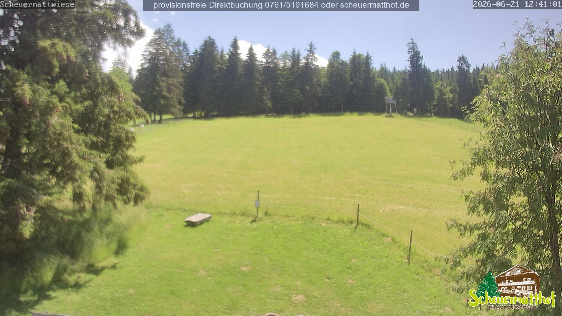 Archiv Foto Webcam Todtnauberg - Scheuermattwiese