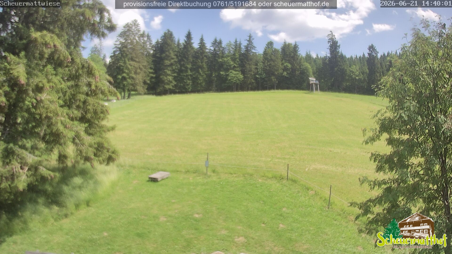 Archiv Foto Webcam Todtnauberg - Scheuermattwiese