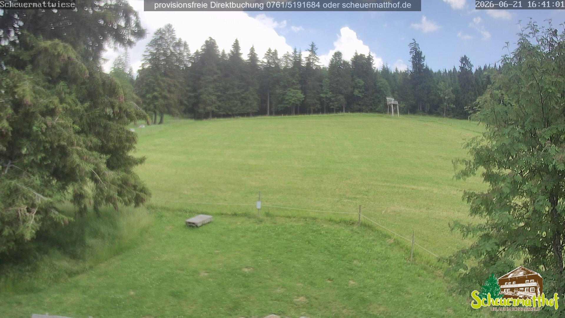 Archiv Foto Webcam Todtnauberg - Scheuermattwiese