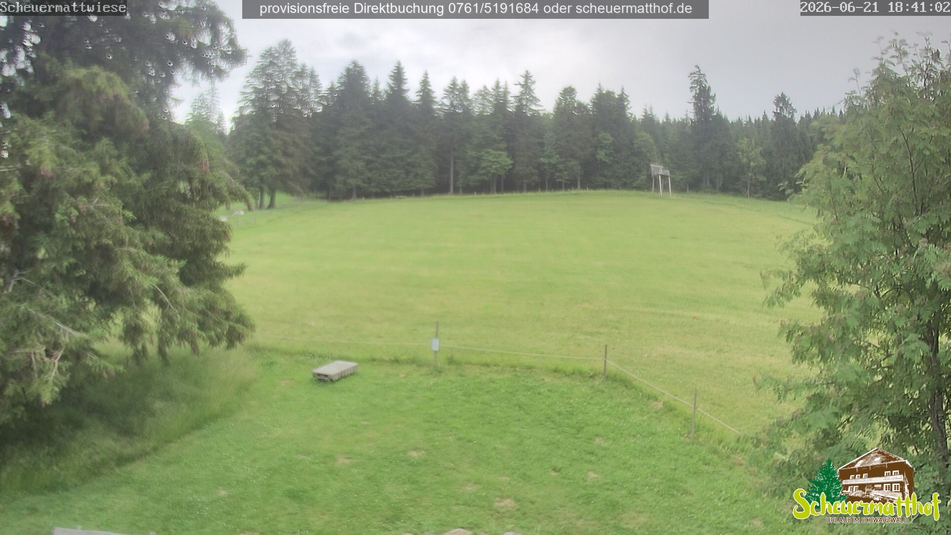 Archiv Foto Webcam Todtnauberg - Scheuermattwiese