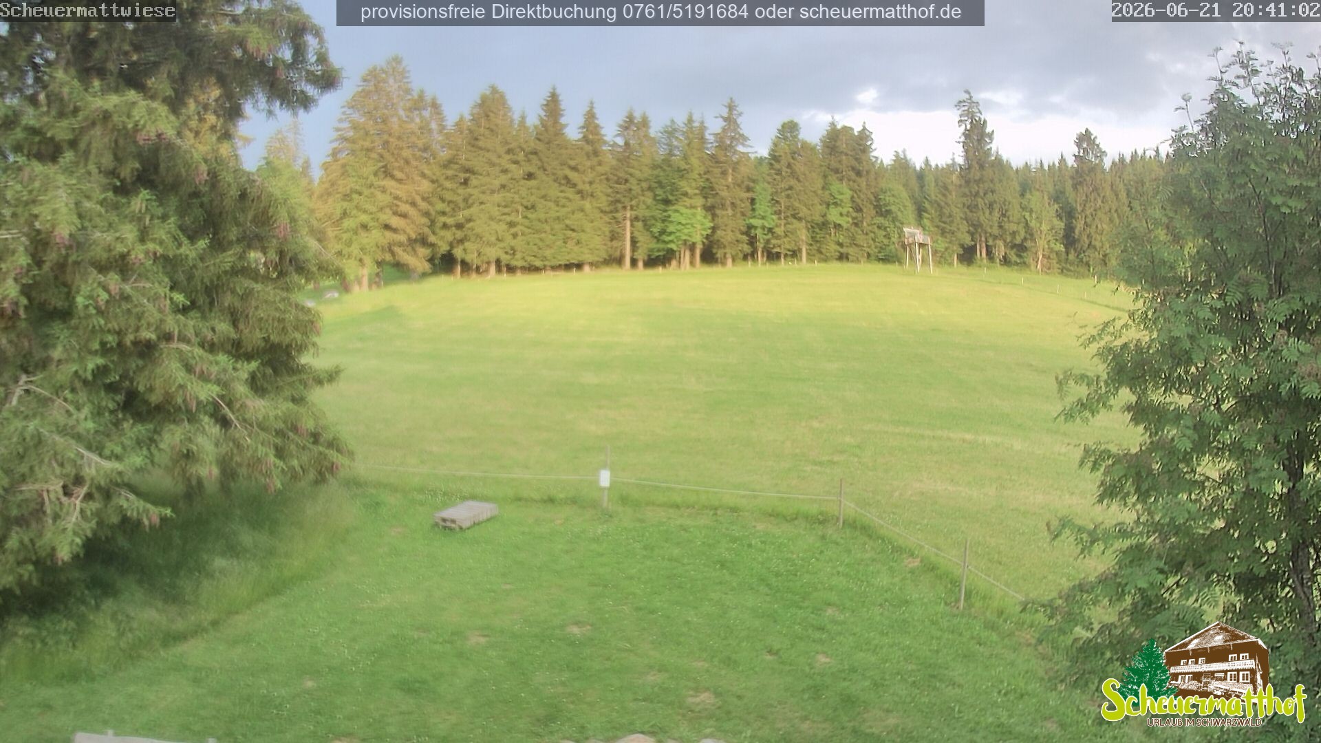 Archiv Foto Webcam Todtnauberg - Scheuermattwiese