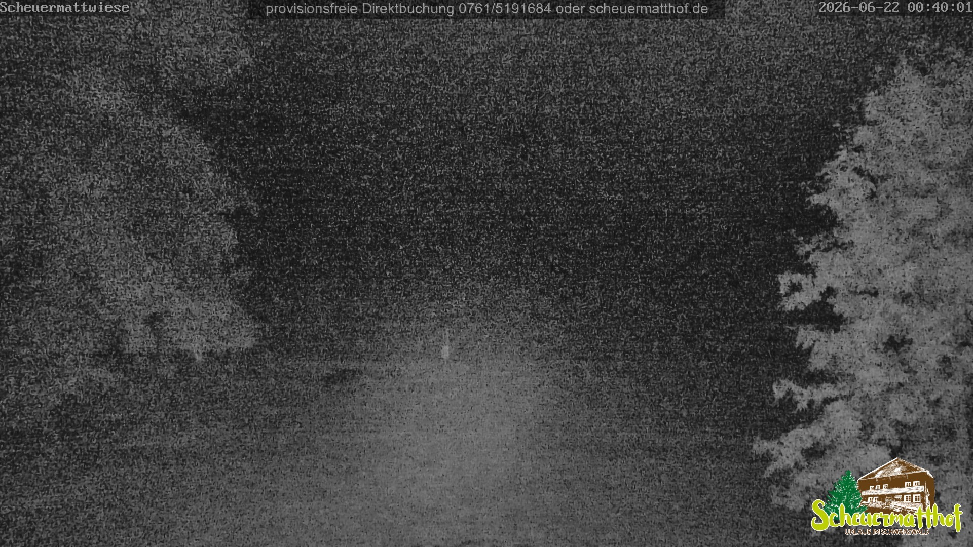 Archiv Foto Webcam Todtnauberg - Scheuermattwiese