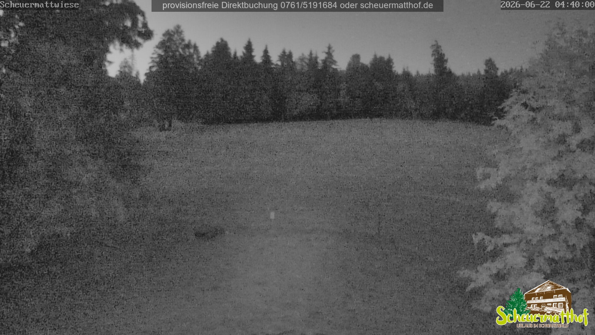 Archiv Foto Webcam Todtnauberg - Scheuermattwiese