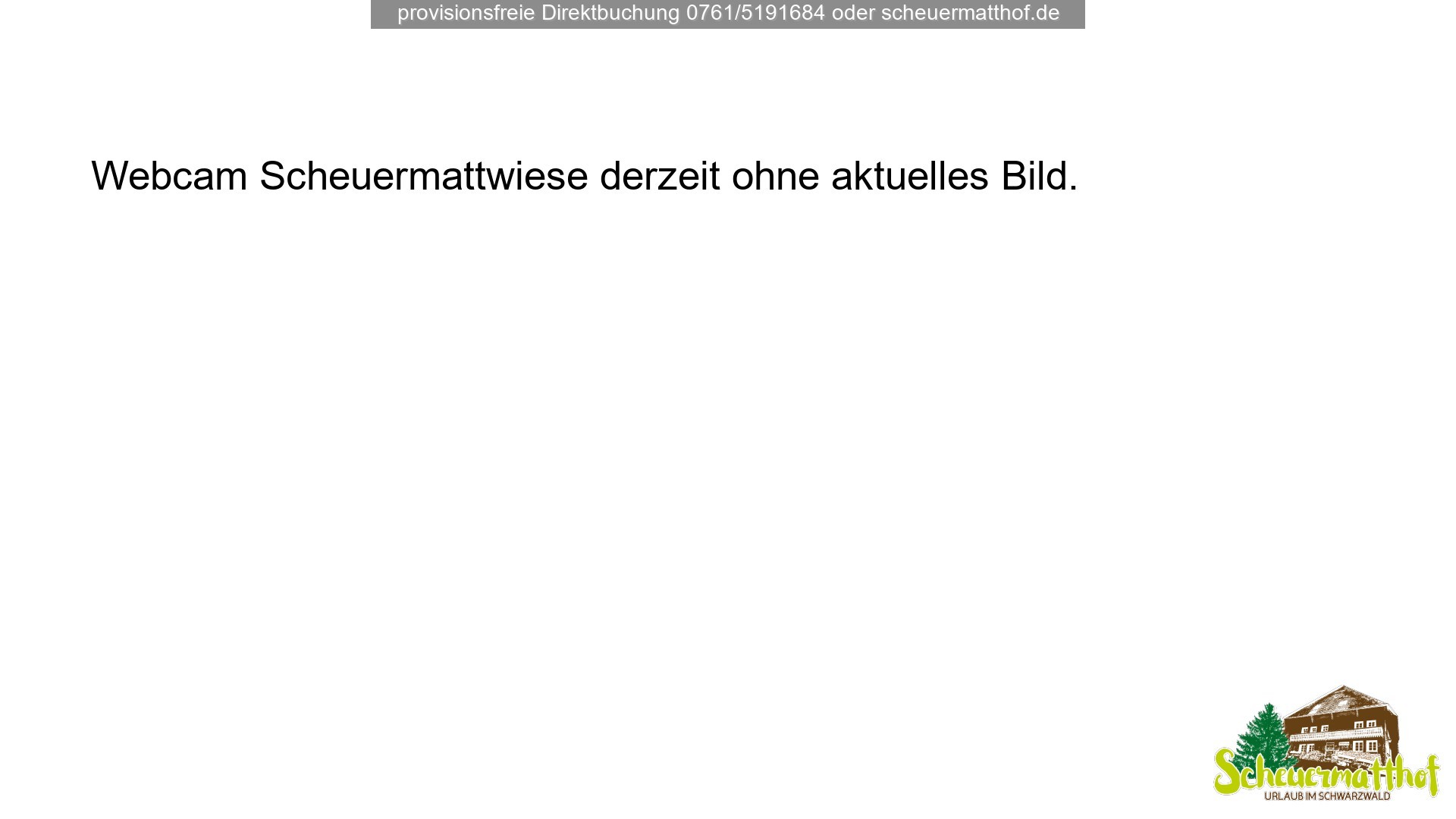 Archiv Foto Webcam Todtnauberg - Scheuermattwiese