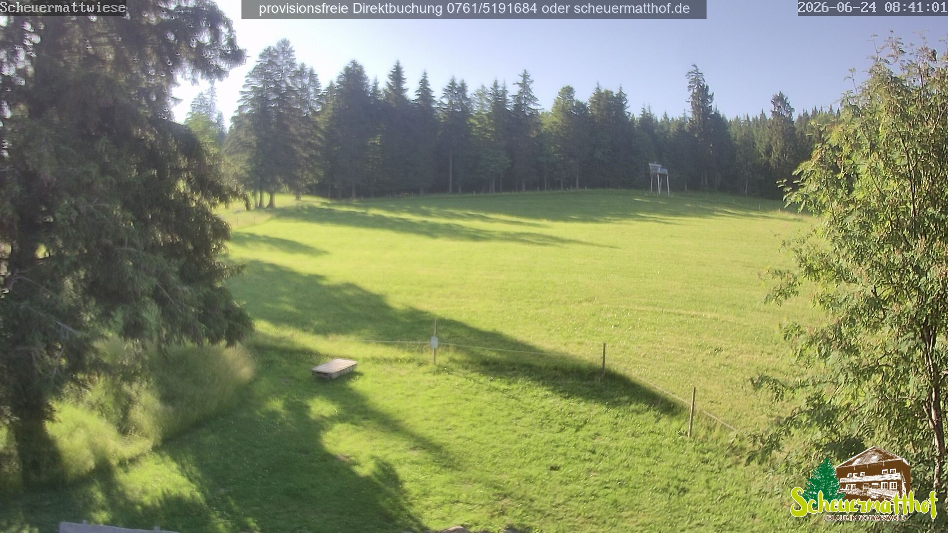 Archiv Foto Webcam Todtnauberg - Scheuermattwiese