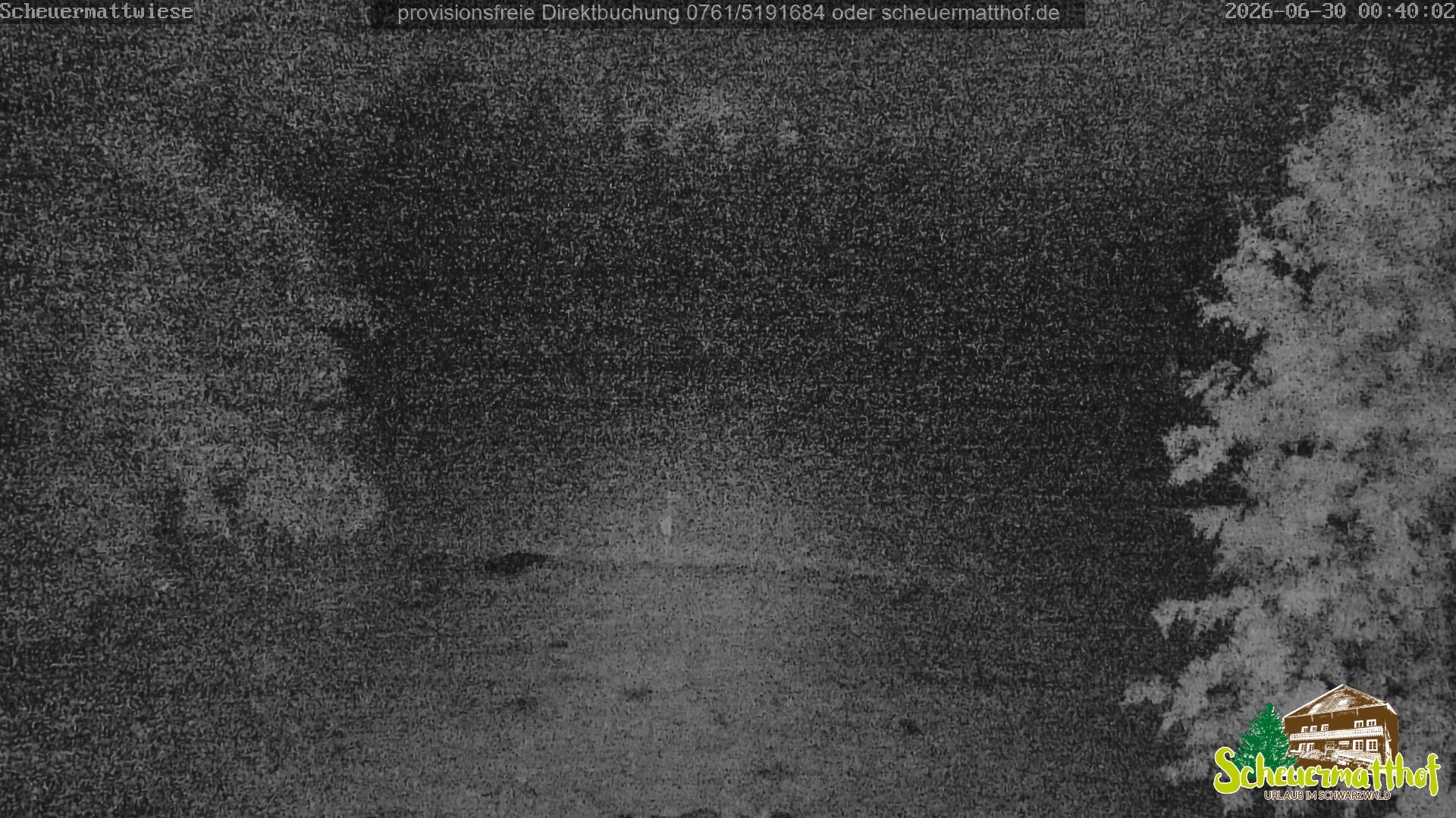 Archiv Foto Webcam Todtnauberg - Scheuermattwiese