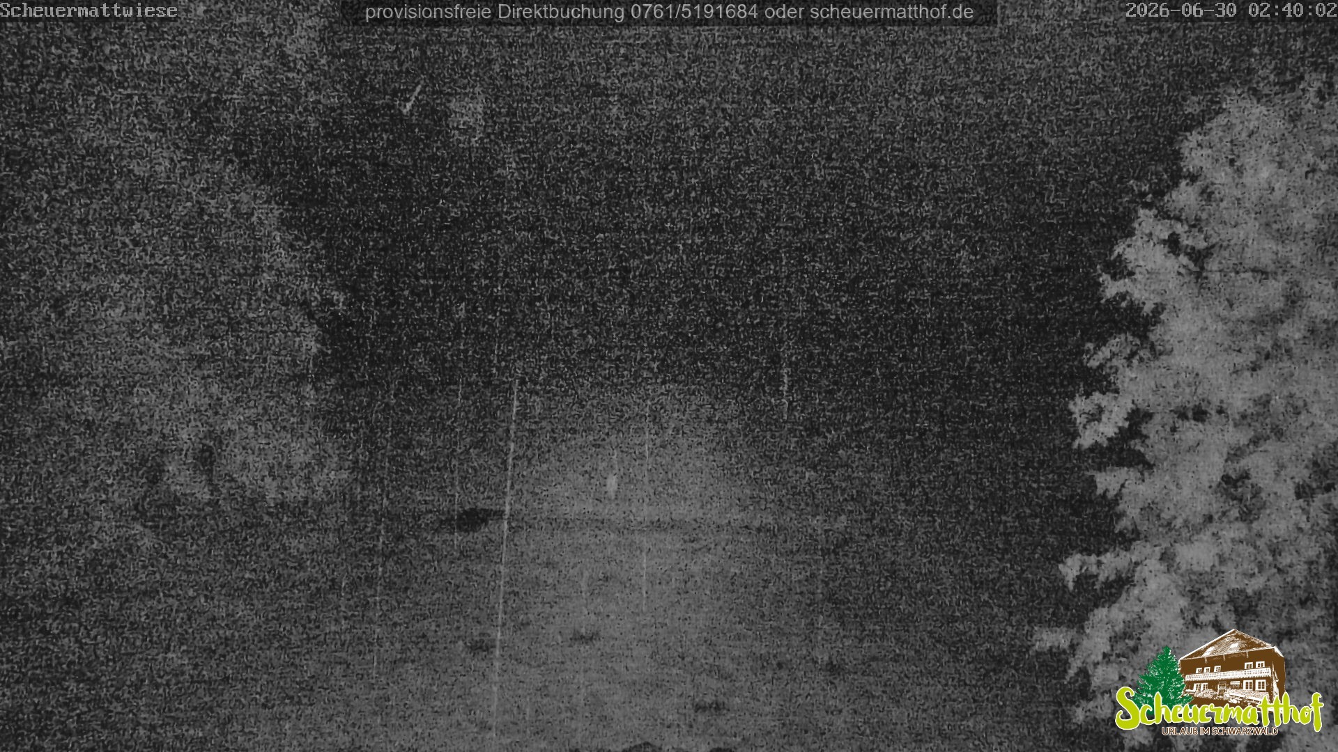 Archiv Foto Webcam Todtnauberg - Scheuermattwiese