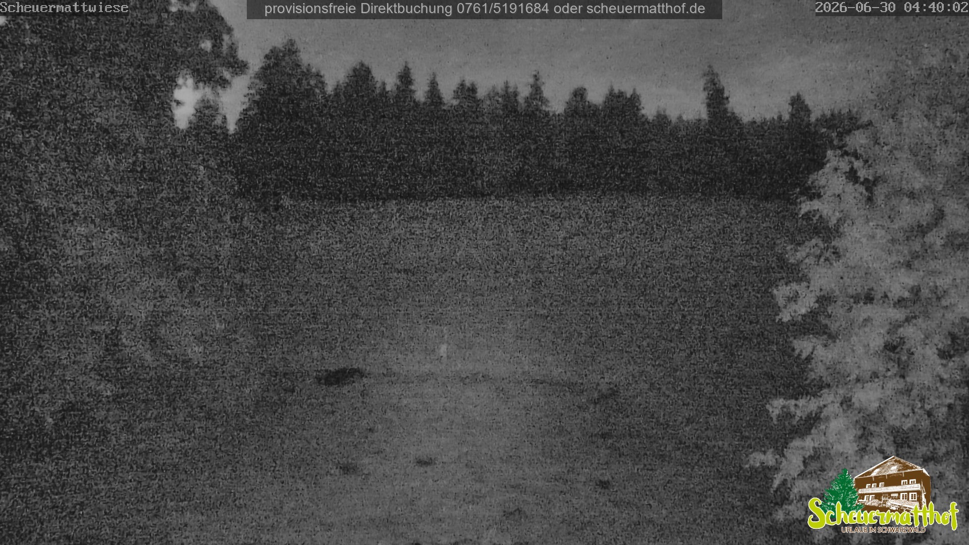 Archiv Foto Webcam Todtnauberg - Scheuermattwiese