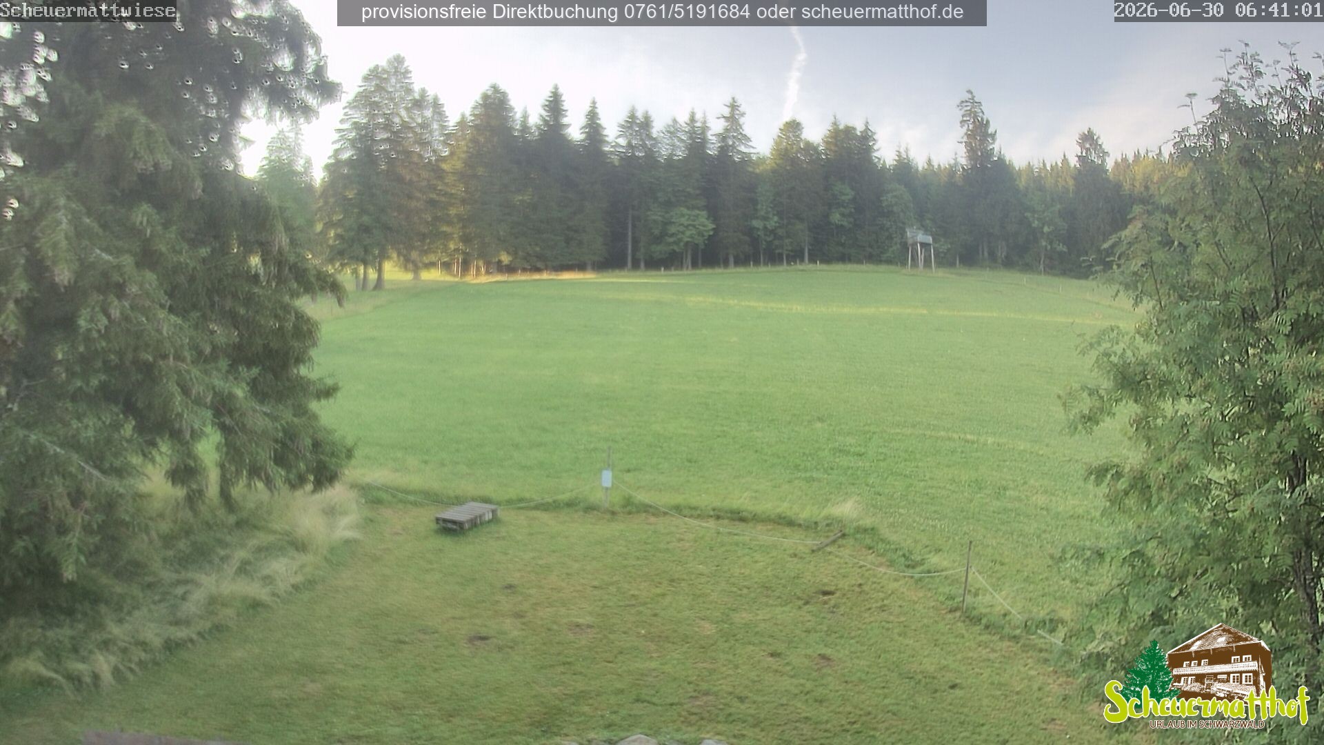 Archiv Foto Webcam Todtnauberg - Scheuermattwiese