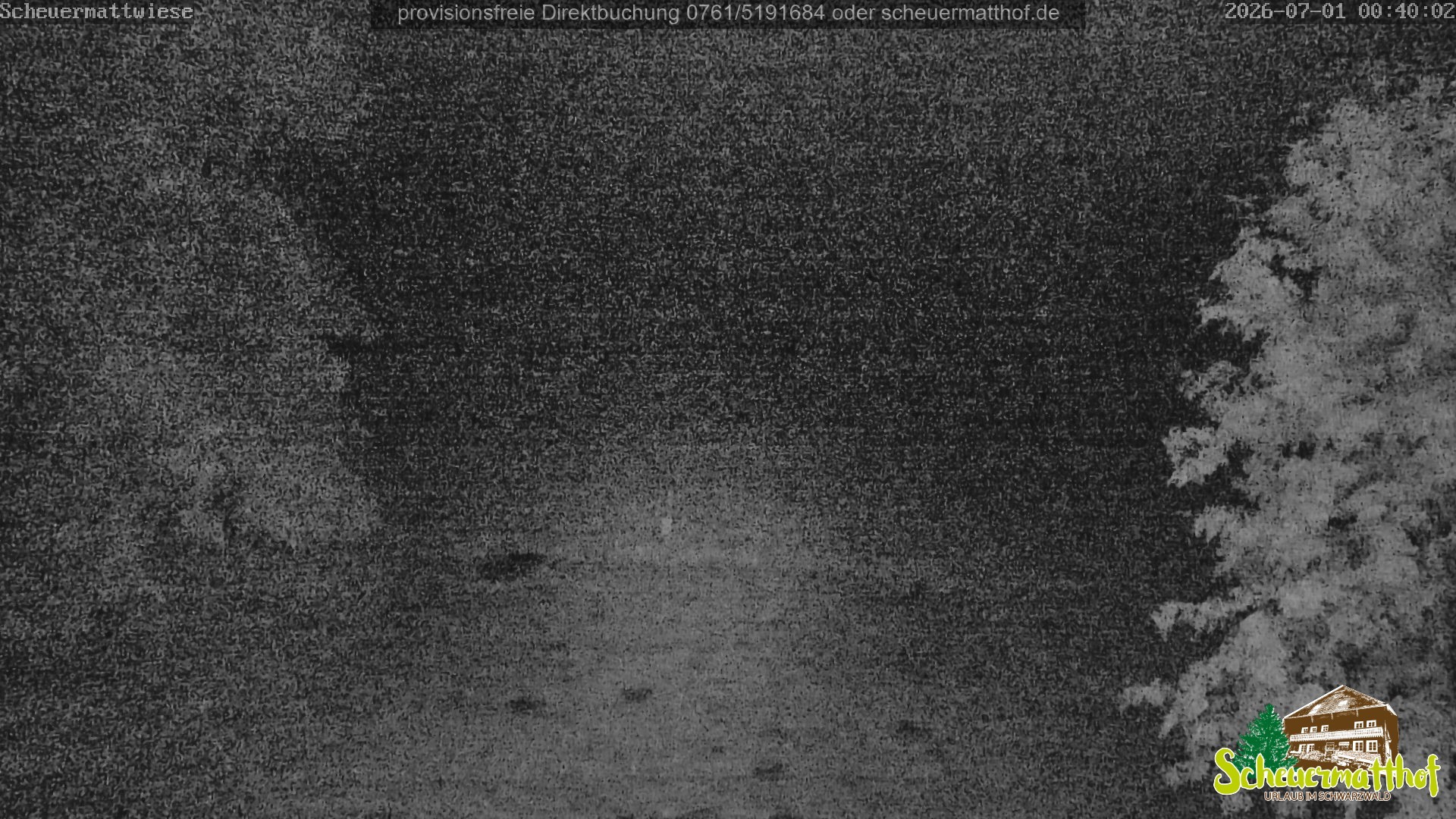 Archiv Foto Webcam Todtnauberg - Scheuermattwiese