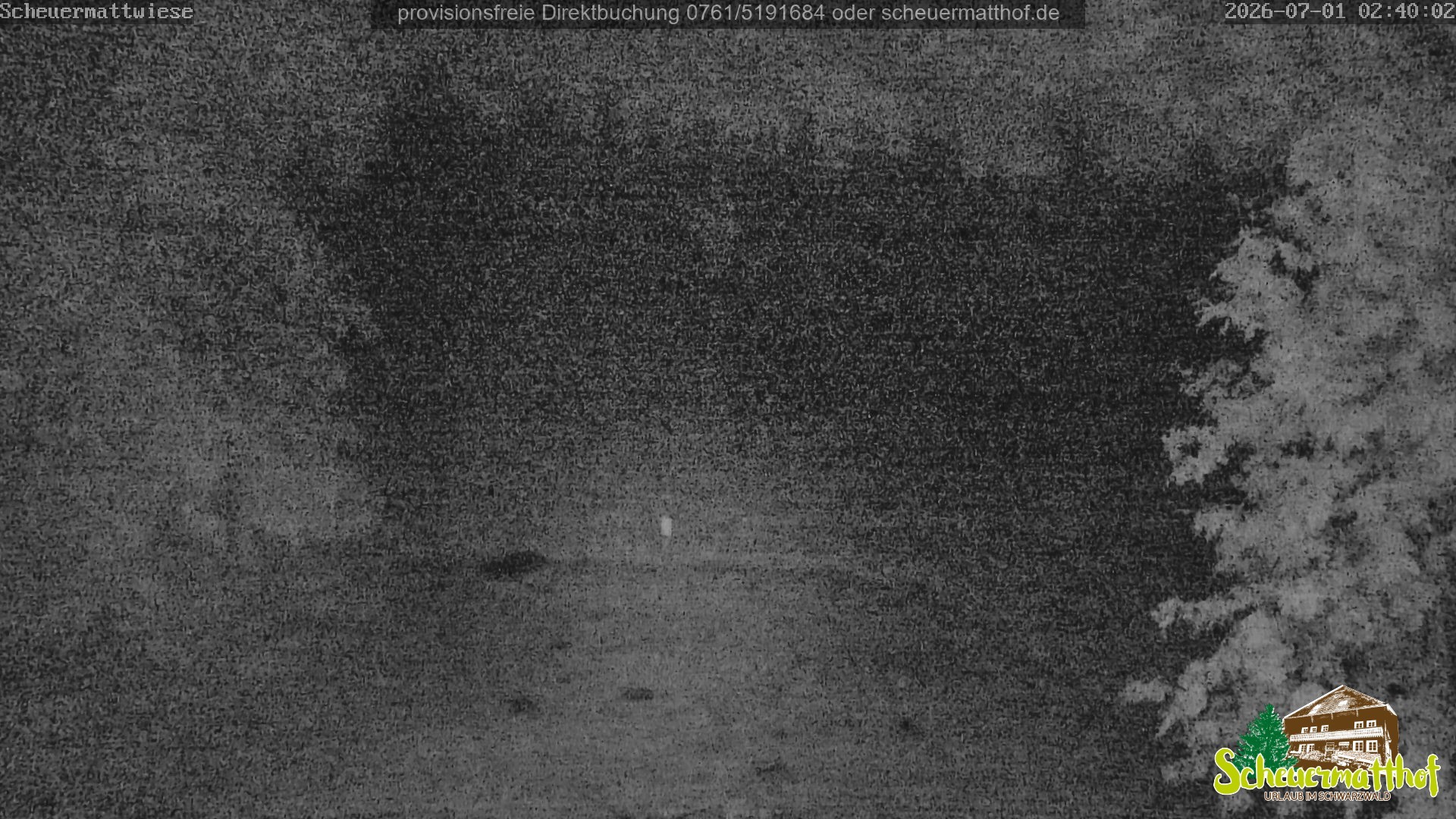 Archived image Webcam Todtnauberg - Scheuermatthof