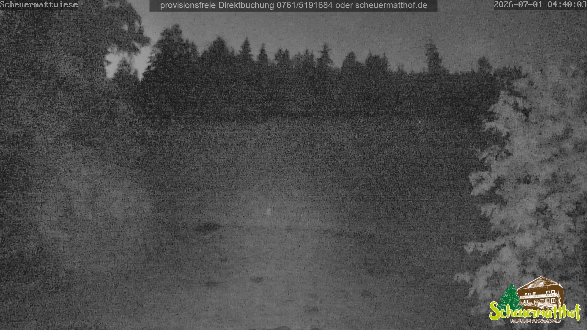 Archiv Foto Webcam Todtnauberg - Scheuermattwiese