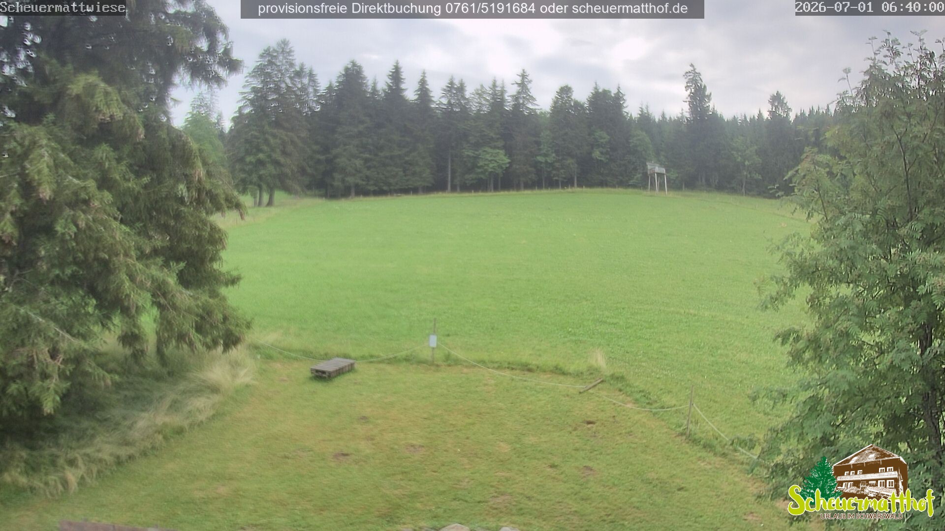 Archived image Webcam Todtnauberg - Scheuermatthof