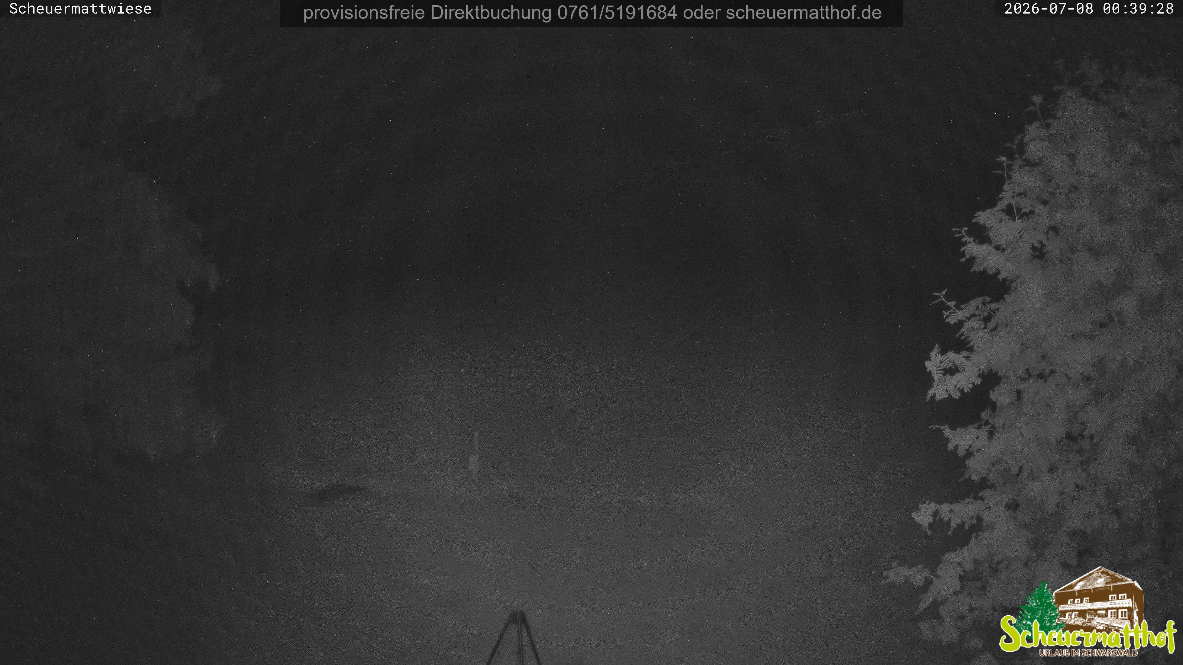 Archiv Foto Webcam Todtnauberg - Scheuermattwiese