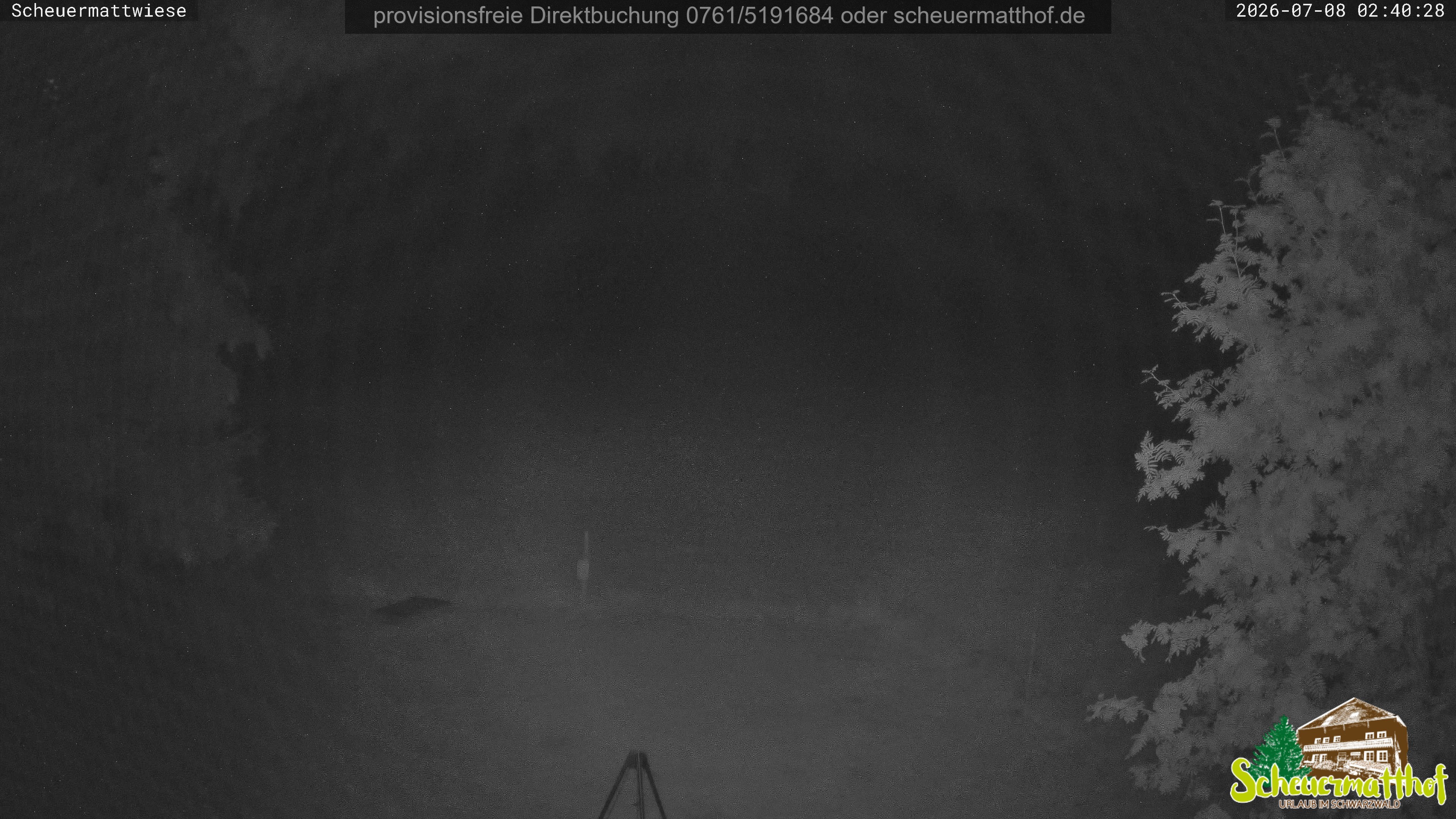 Archiv Foto Webcam Todtnauberg - Scheuermattwiese