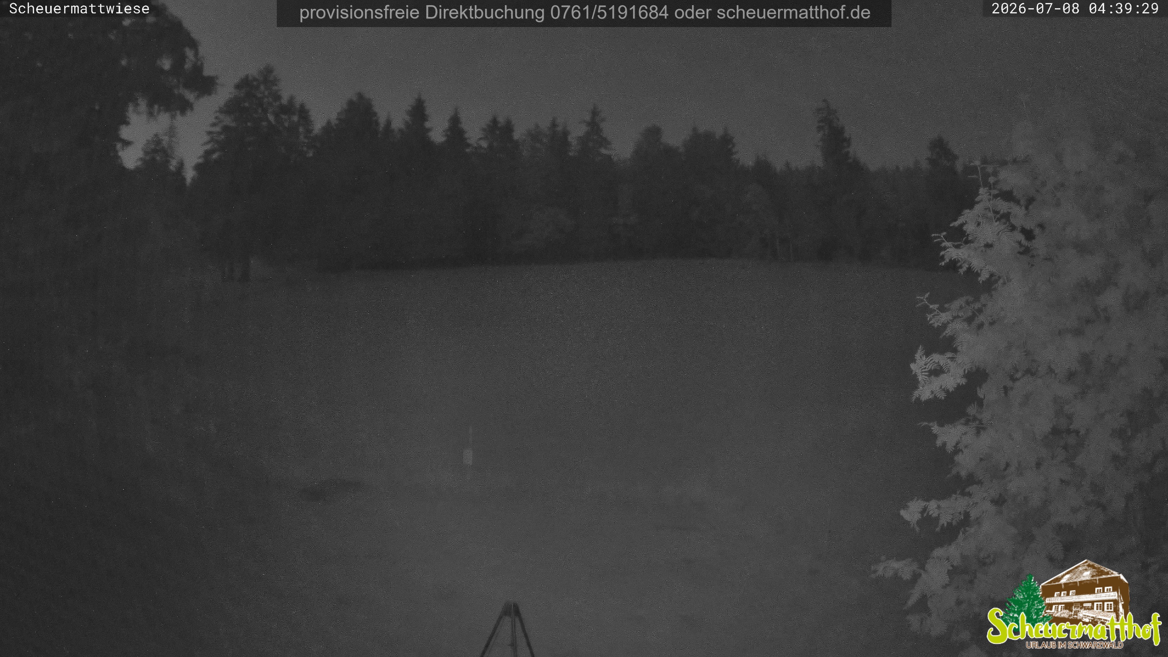 Archiv Foto Webcam Todtnauberg - Scheuermattwiese
