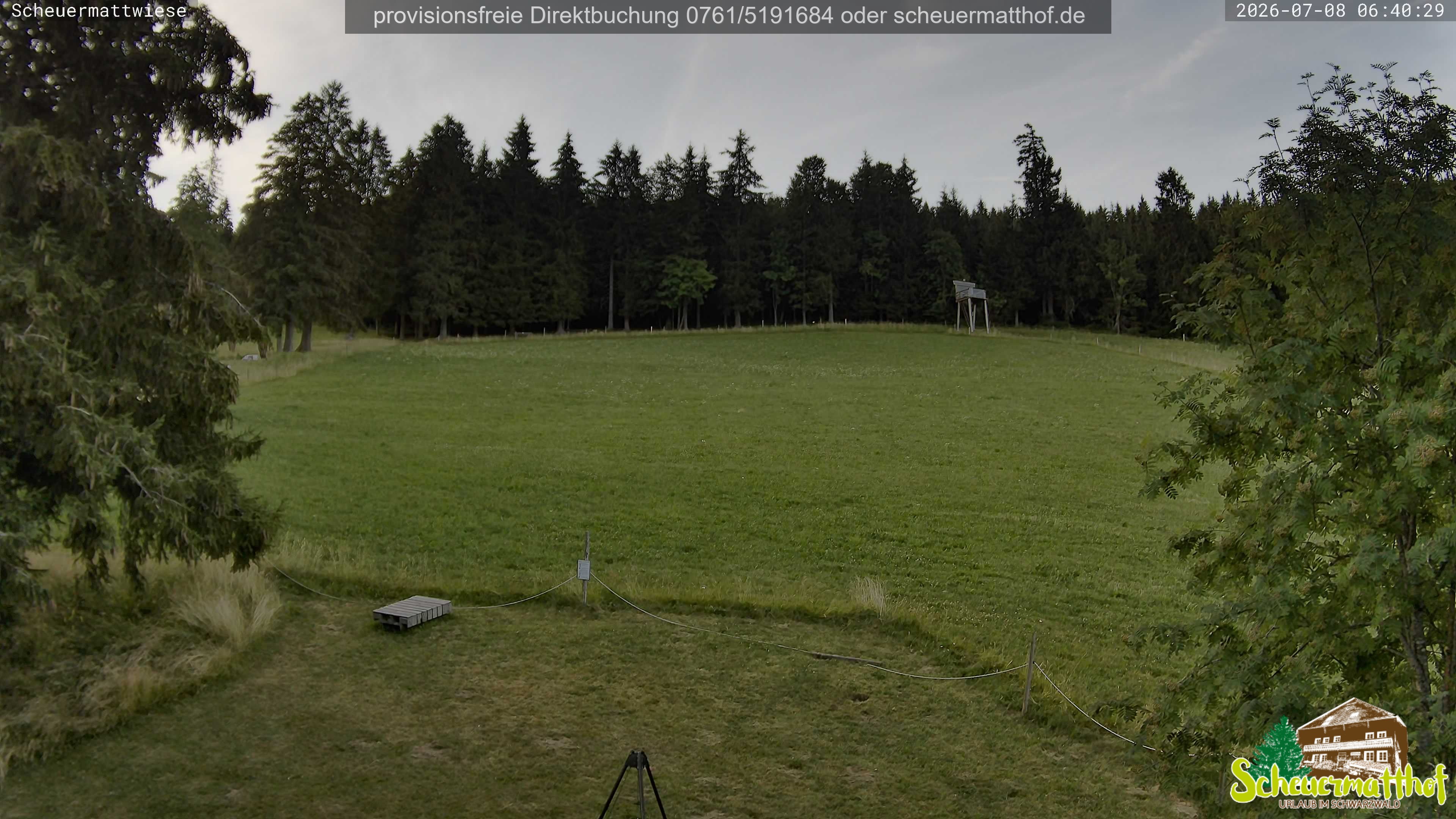 Archiv Foto Webcam Todtnauberg - Scheuermattwiese