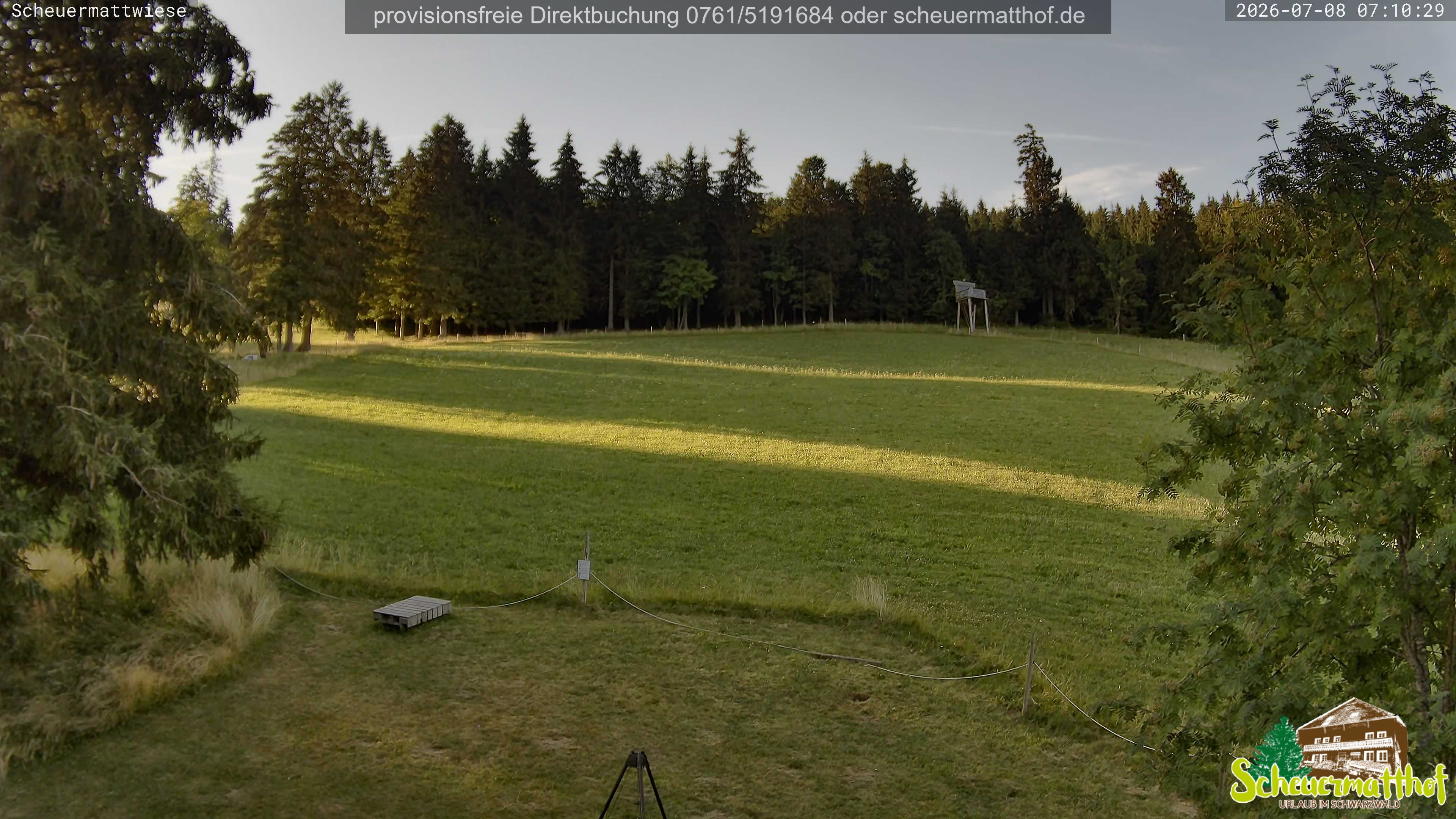 Archiv Foto Webcam Todtnauberg - Scheuermattwiese