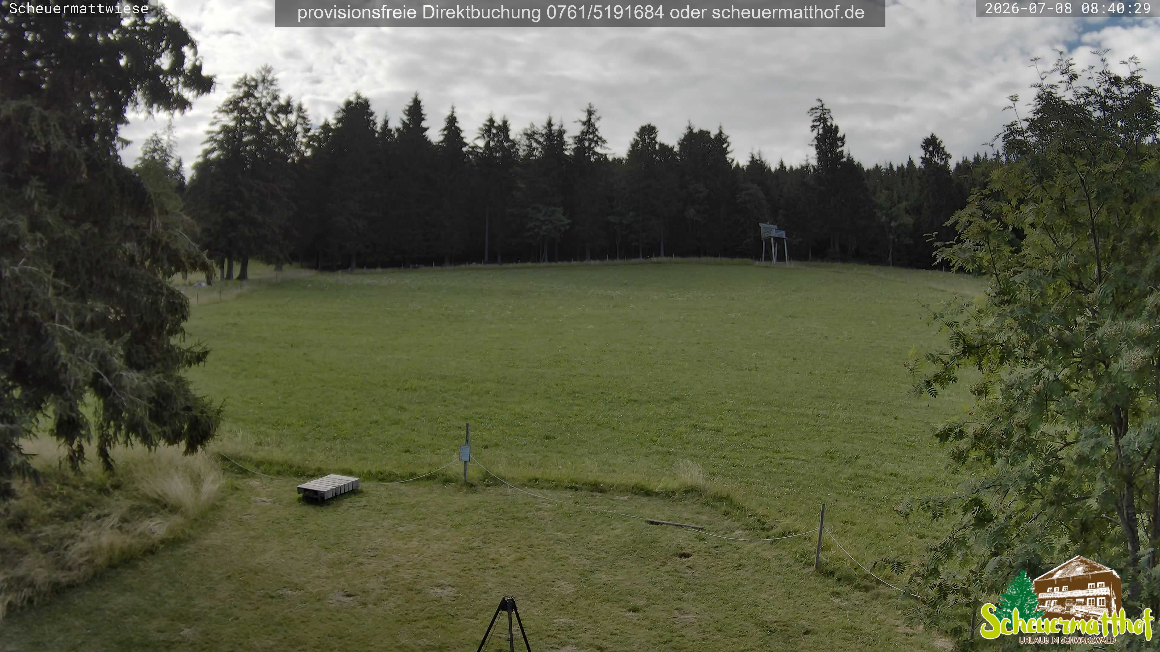 Archiv Foto Webcam Todtnauberg - Scheuermattwiese