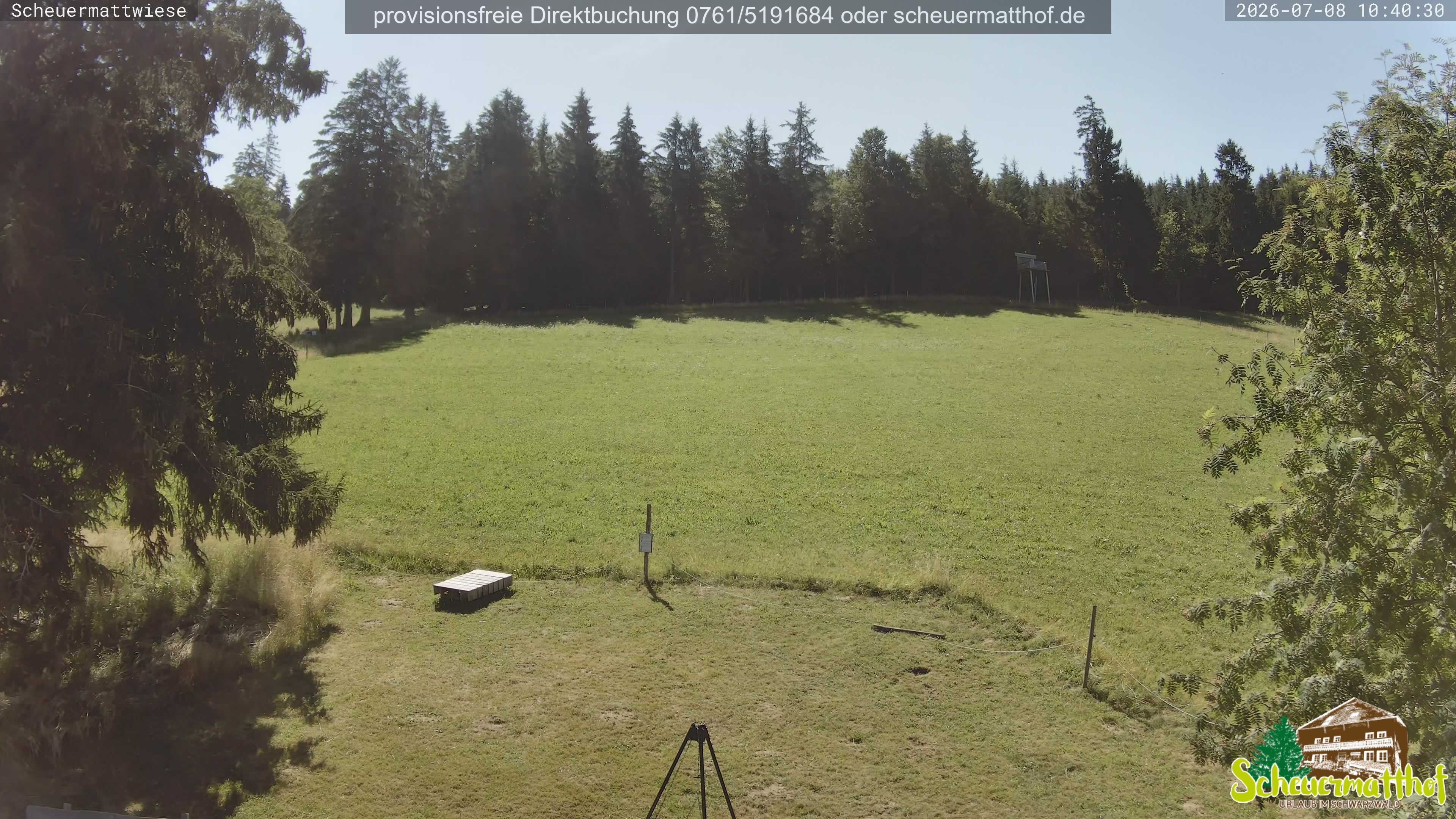 Archiv Foto Webcam Todtnauberg - Scheuermattwiese