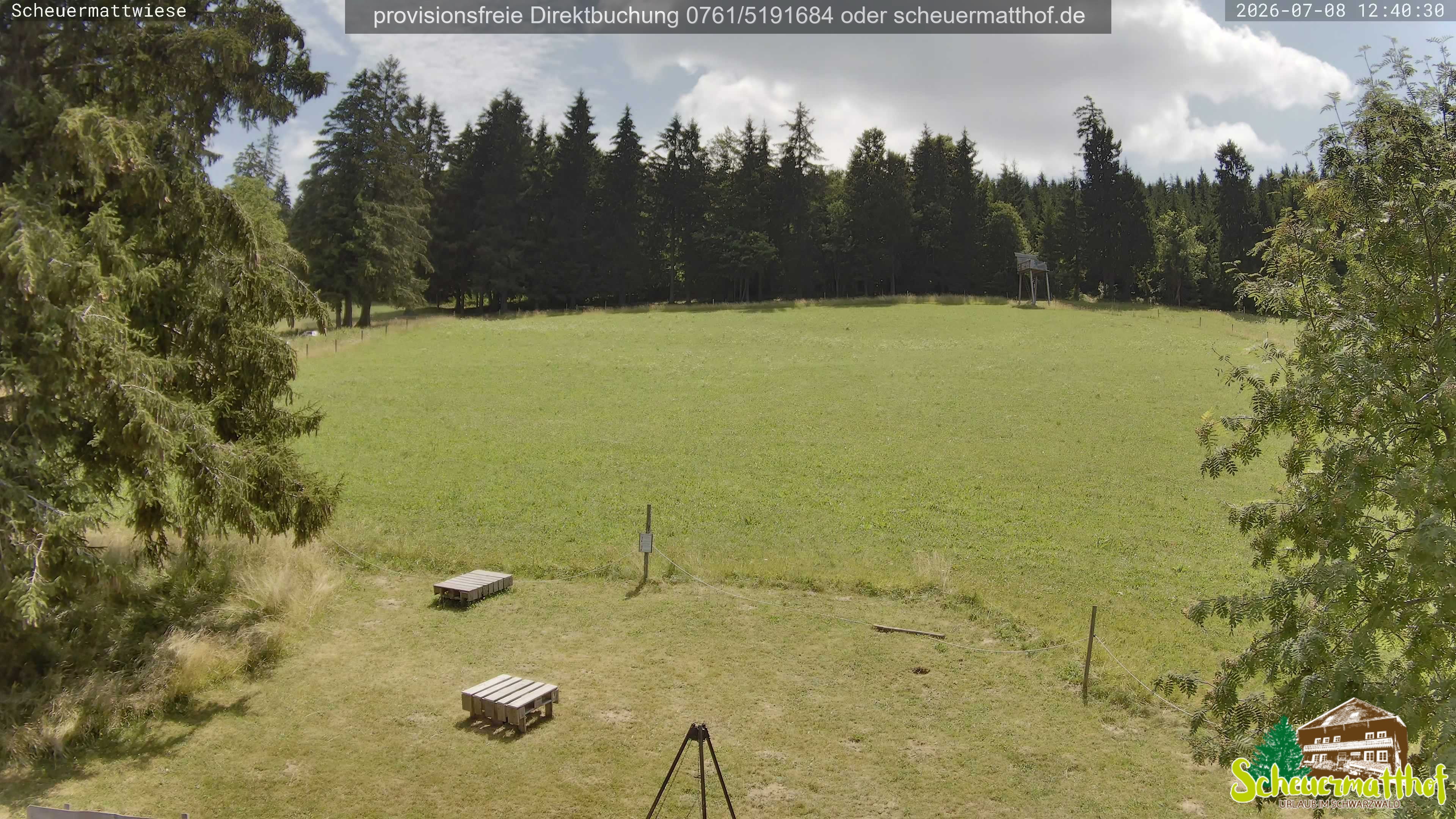 Archiv Foto Webcam Todtnauberg - Scheuermattwiese