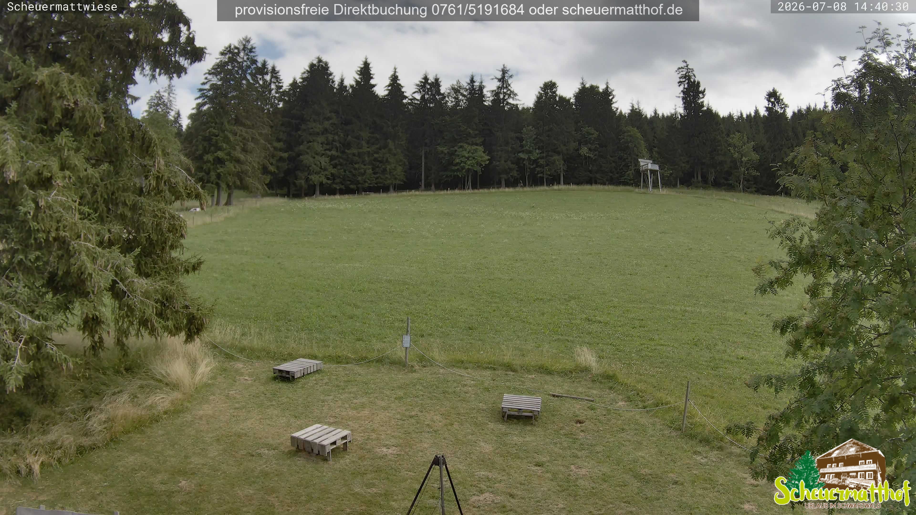 Archiv Foto Webcam Todtnauberg - Scheuermattwiese