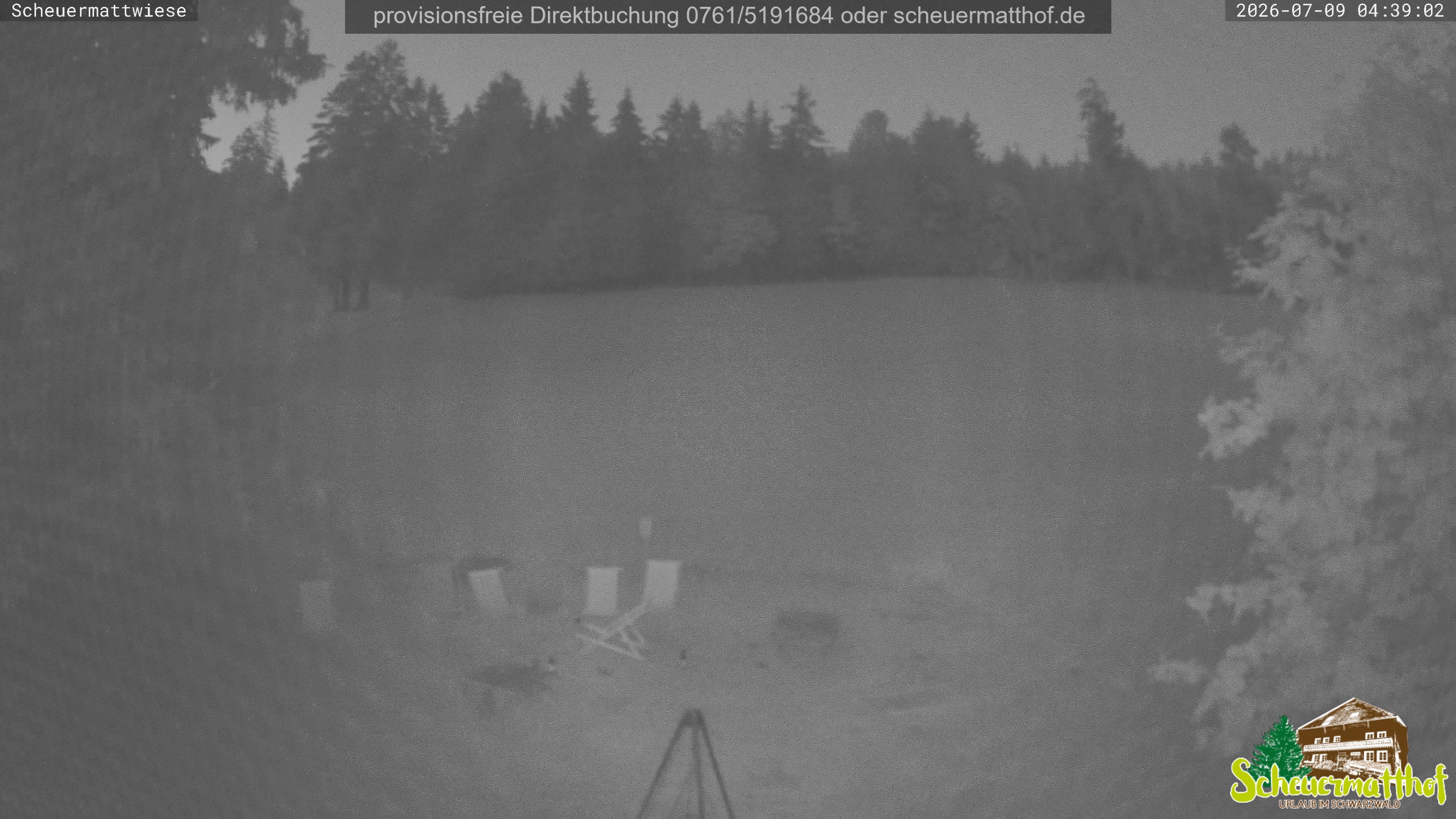 Archiv Foto Webcam Todtnauberg - Scheuermattwiese