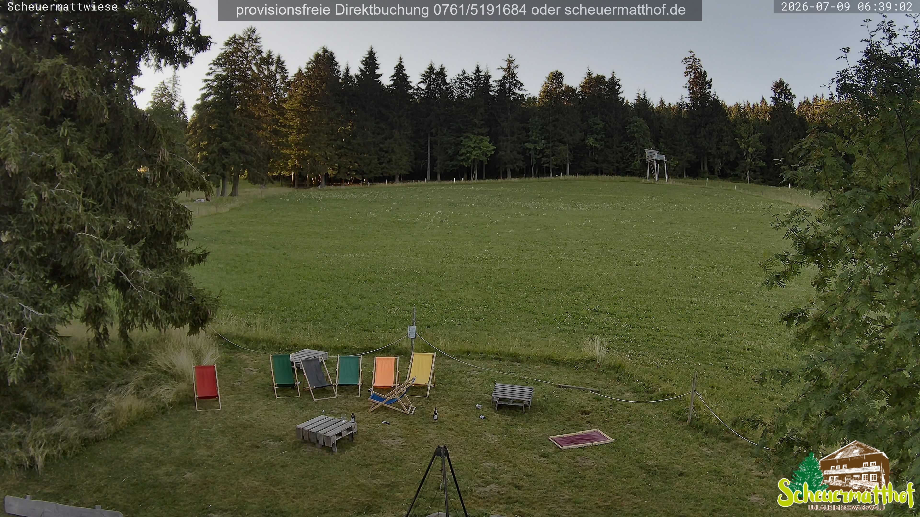 Archiv Foto Webcam Todtnauberg - Scheuermattwiese