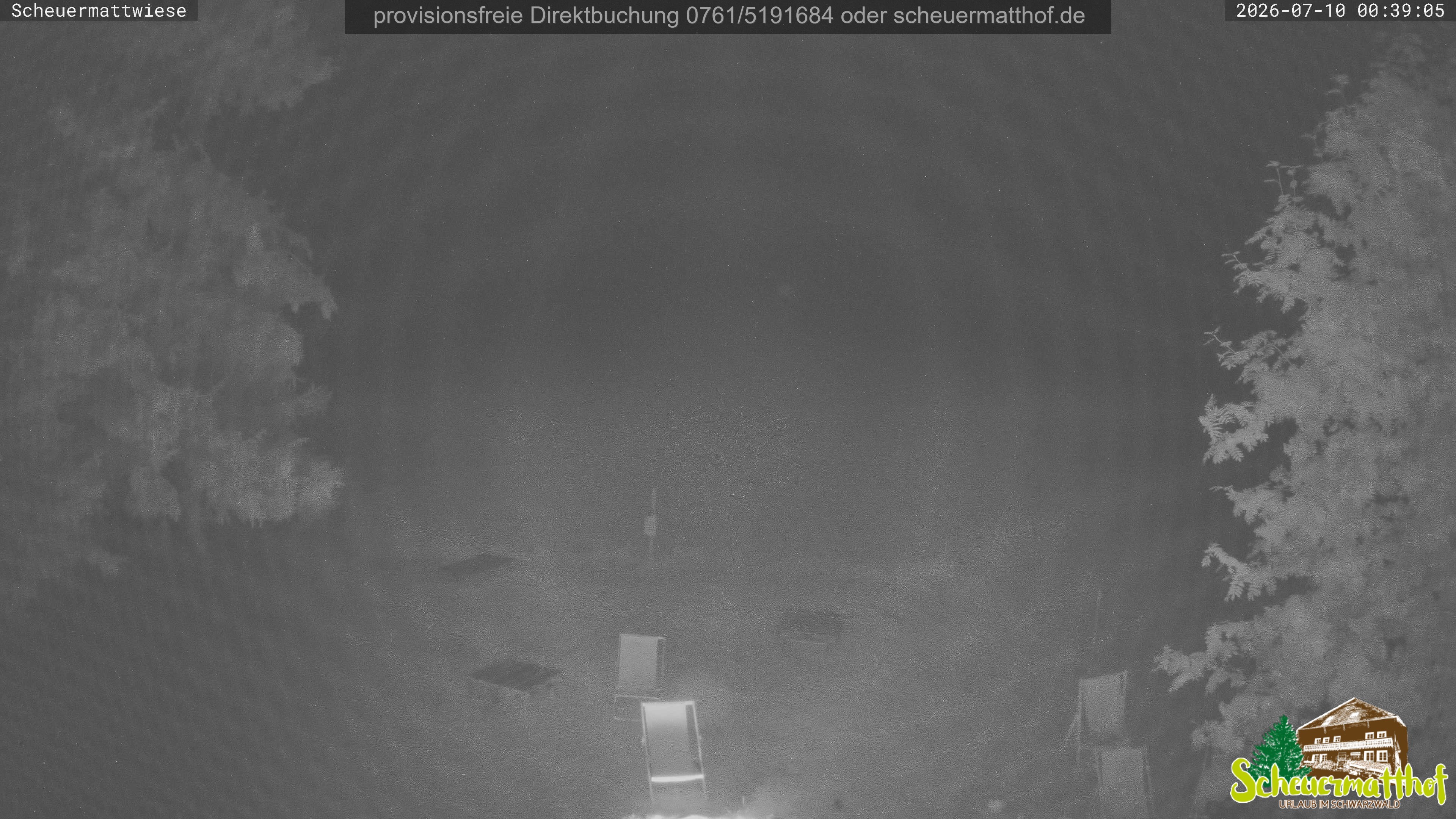 Archiv Foto Webcam Todtnauberg - Scheuermattwiese