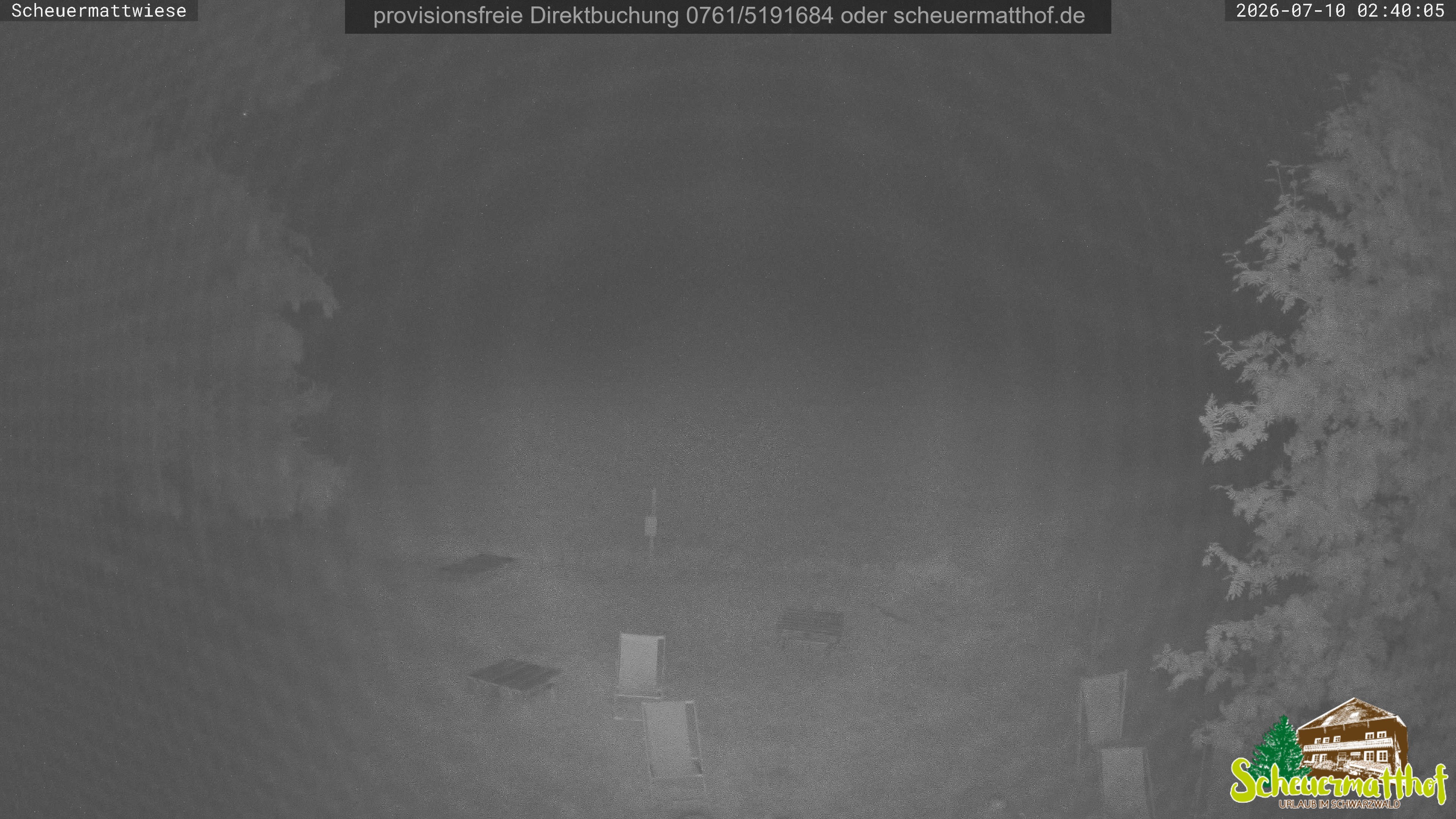 Archiv Foto Webcam Todtnauberg - Scheuermattwiese