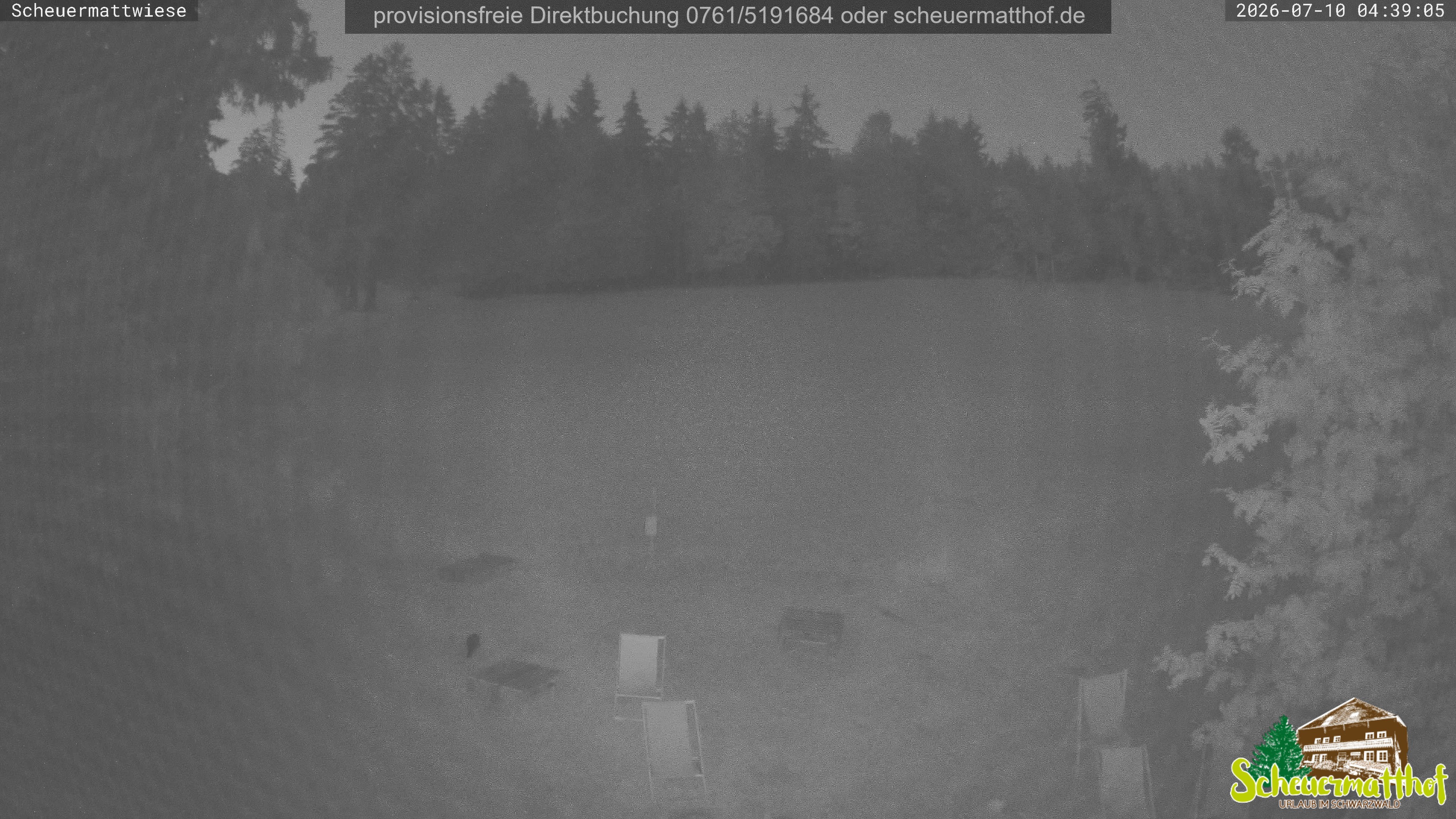 Archiv Foto Webcam Todtnauberg - Scheuermattwiese