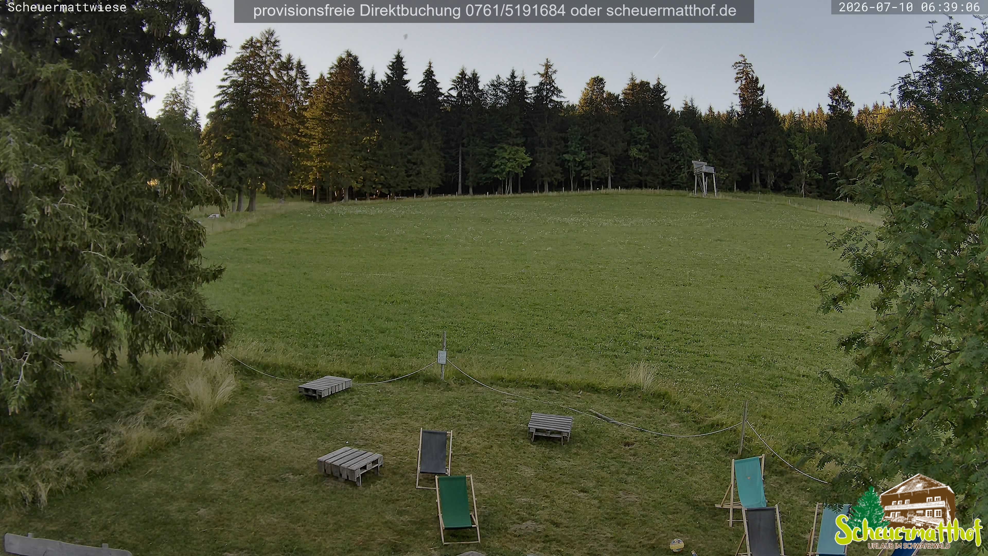 Archiv Foto Webcam Todtnauberg - Scheuermattwiese