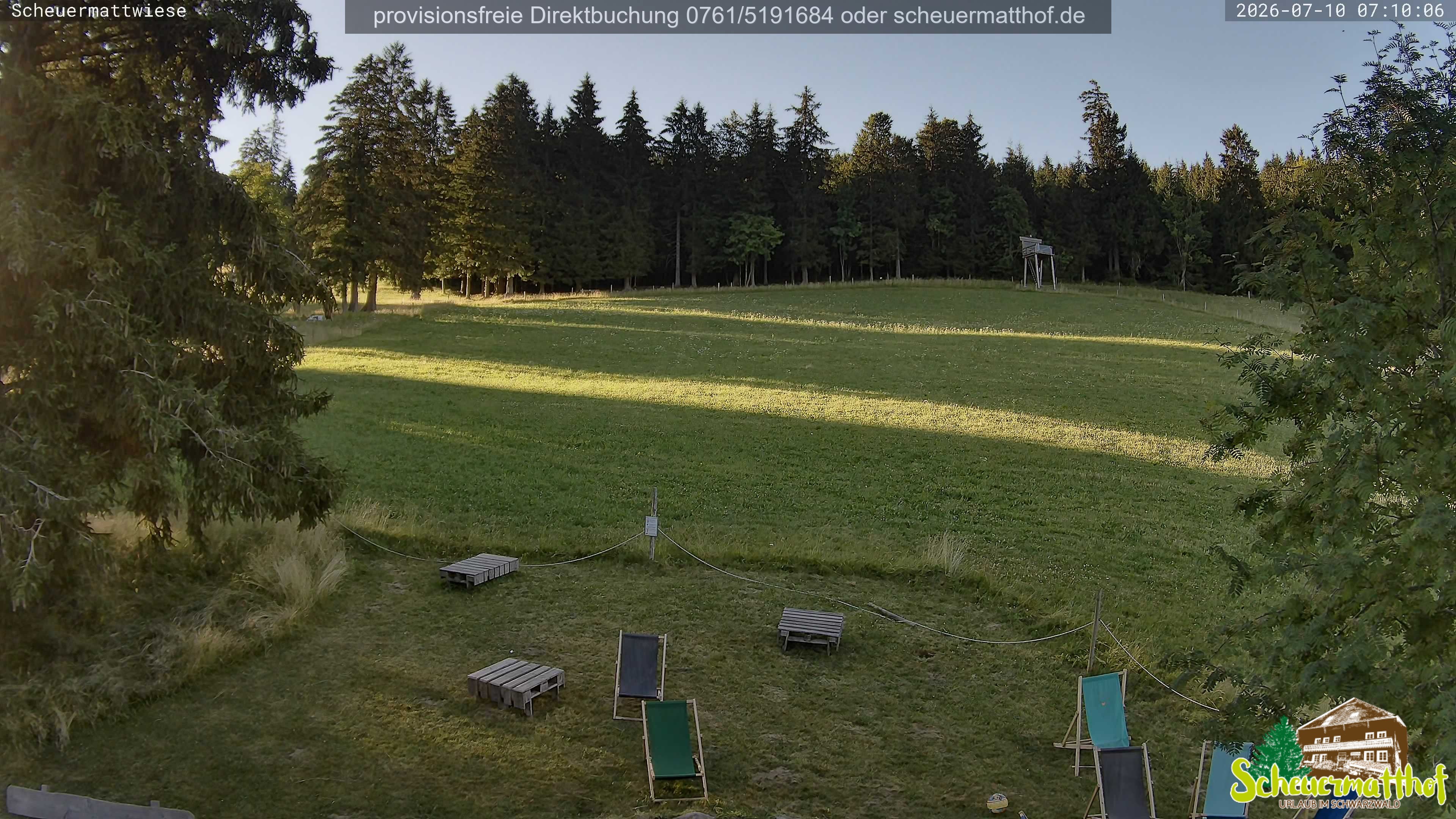 Archiv Foto Webcam Todtnauberg - Scheuermattwiese