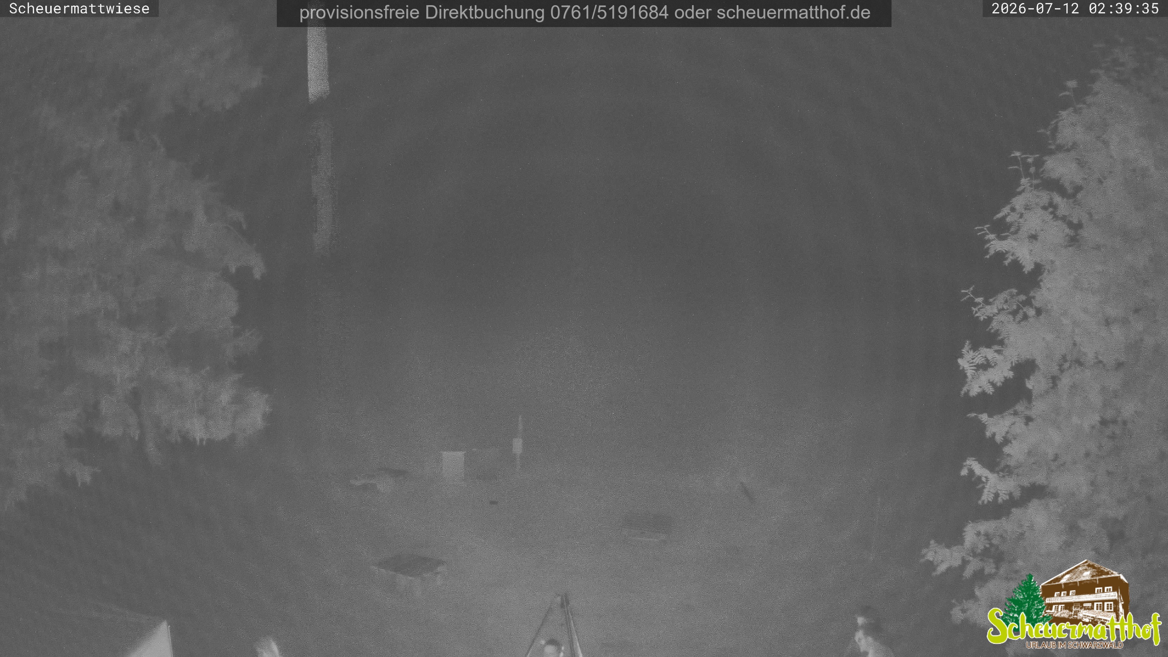 Archived image Webcam Todtnauberg - Scheuermatthof