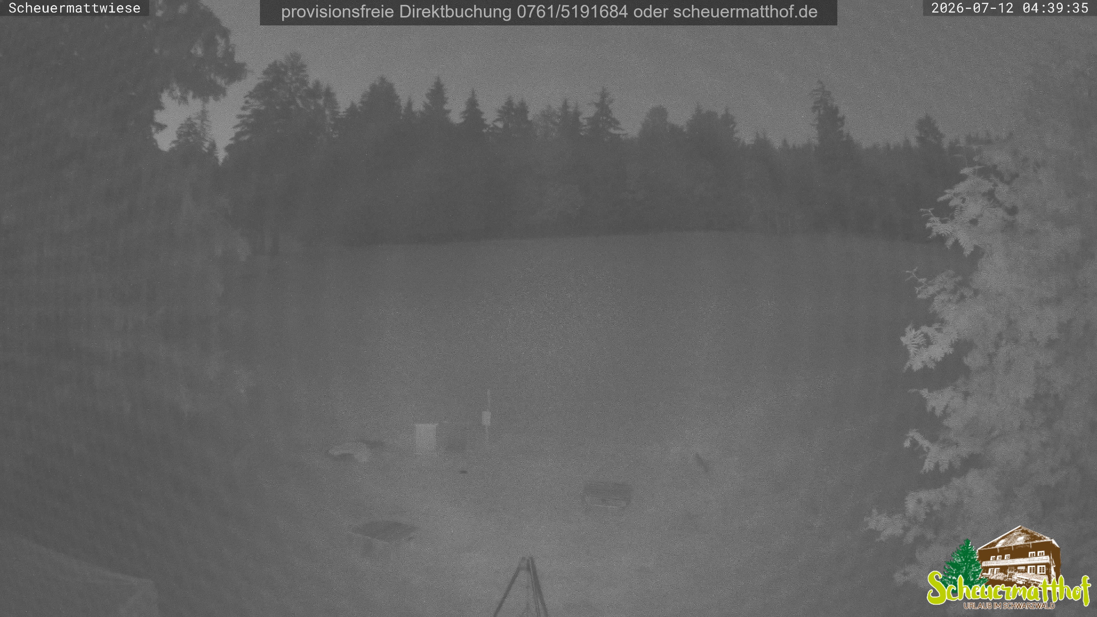 Archived image Webcam Todtnauberg - Scheuermatthof