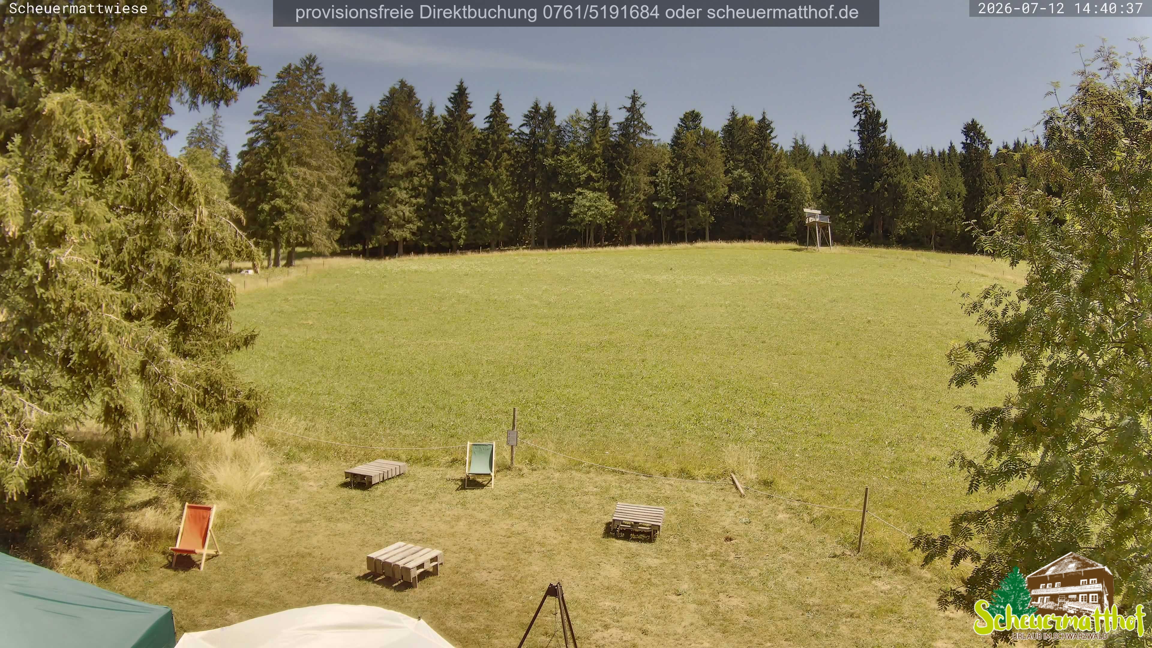 Archived image Webcam Todtnauberg - Scheuermatthof