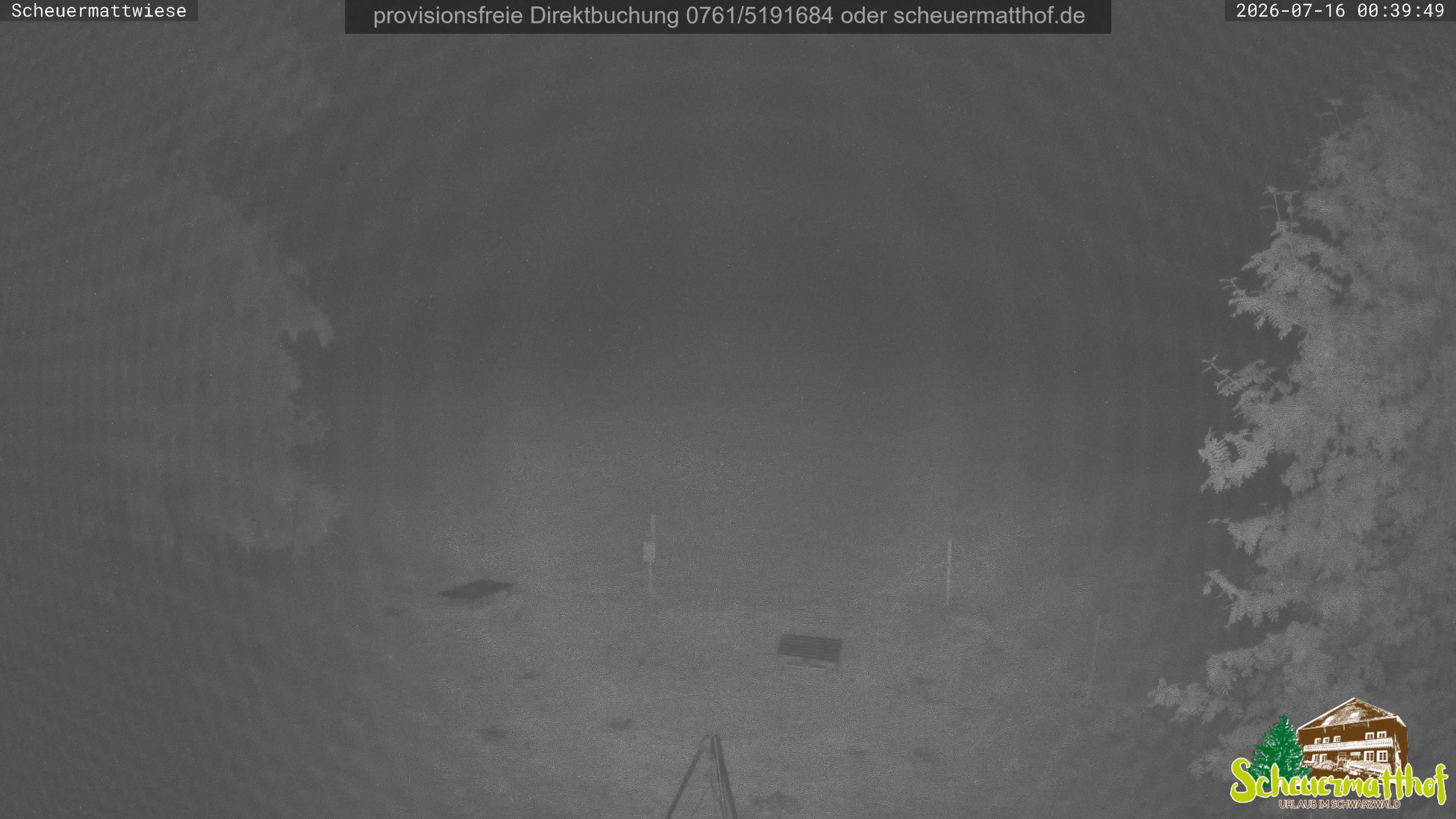Archiv Foto Webcam Todtnauberg - Scheuermattwiese