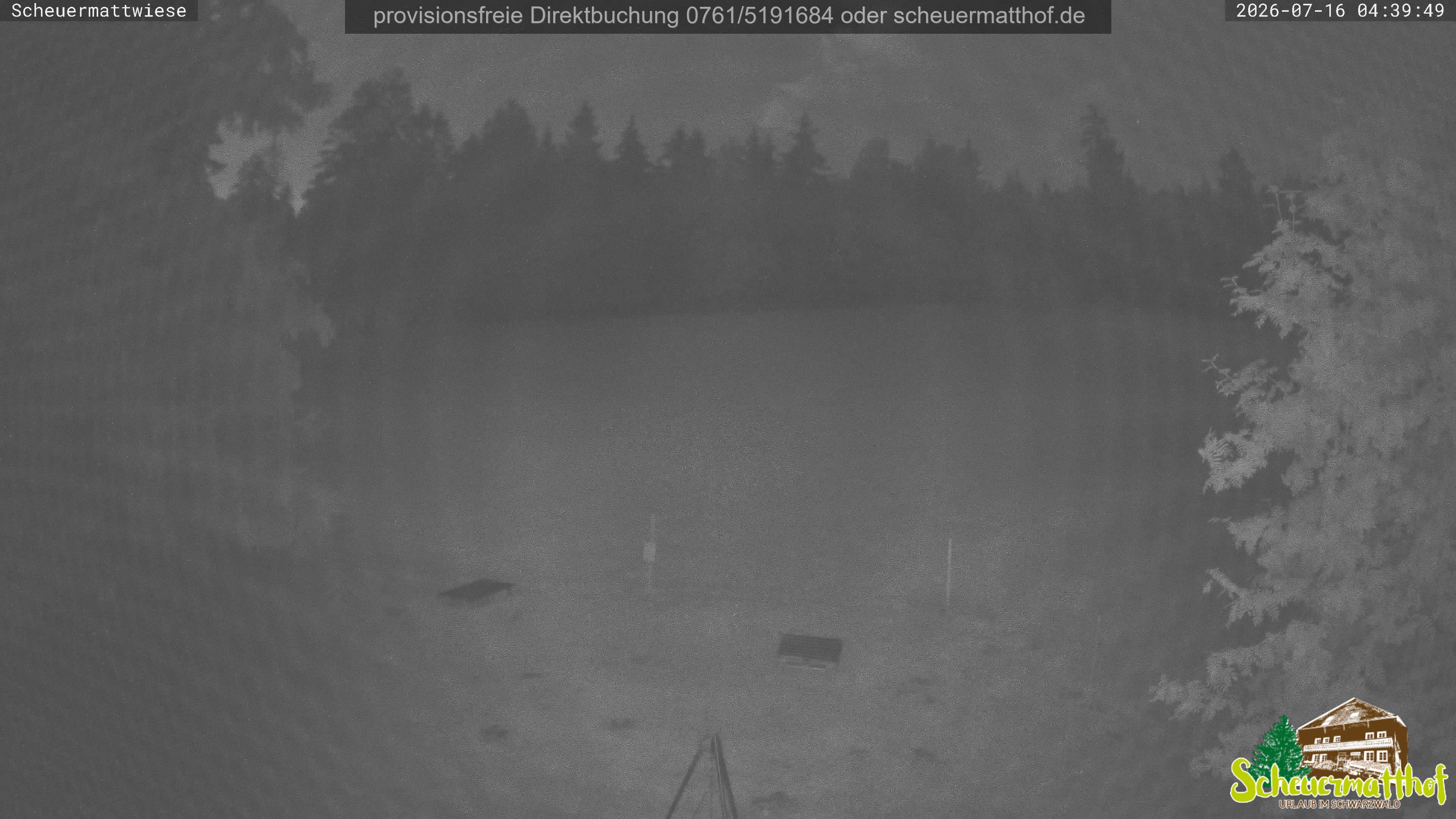 Archiv Foto Webcam Todtnauberg - Scheuermattwiese