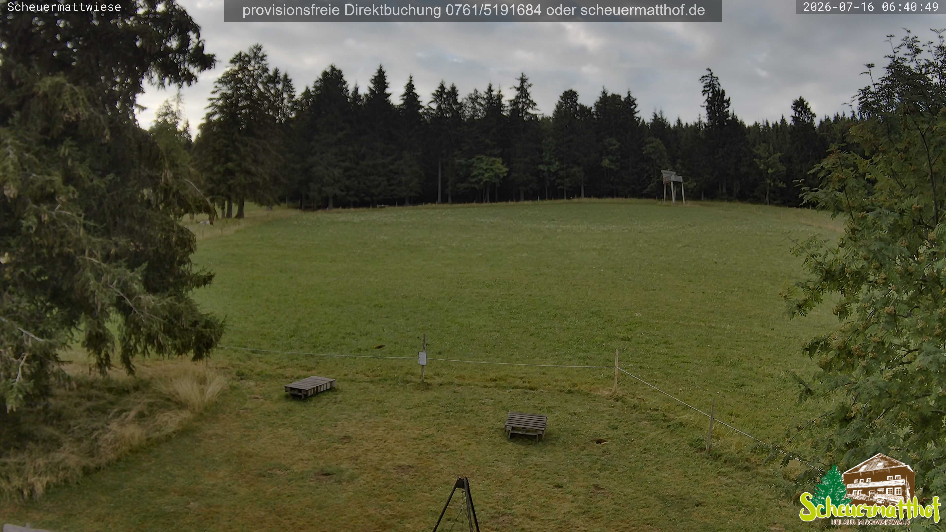 Archiv Foto Webcam Todtnauberg - Scheuermattwiese