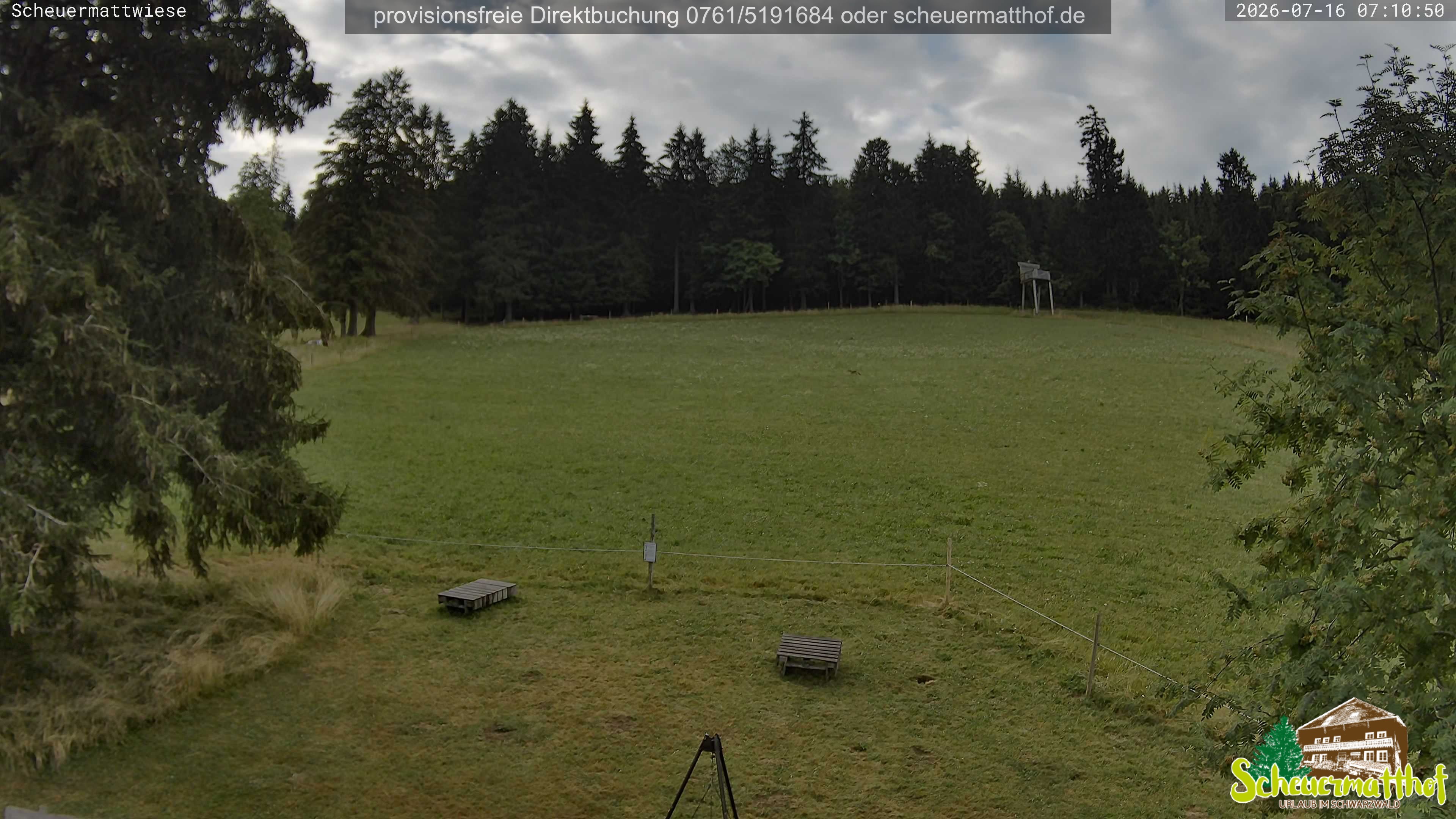 Archiv Foto Webcam Todtnauberg - Scheuermattwiese
