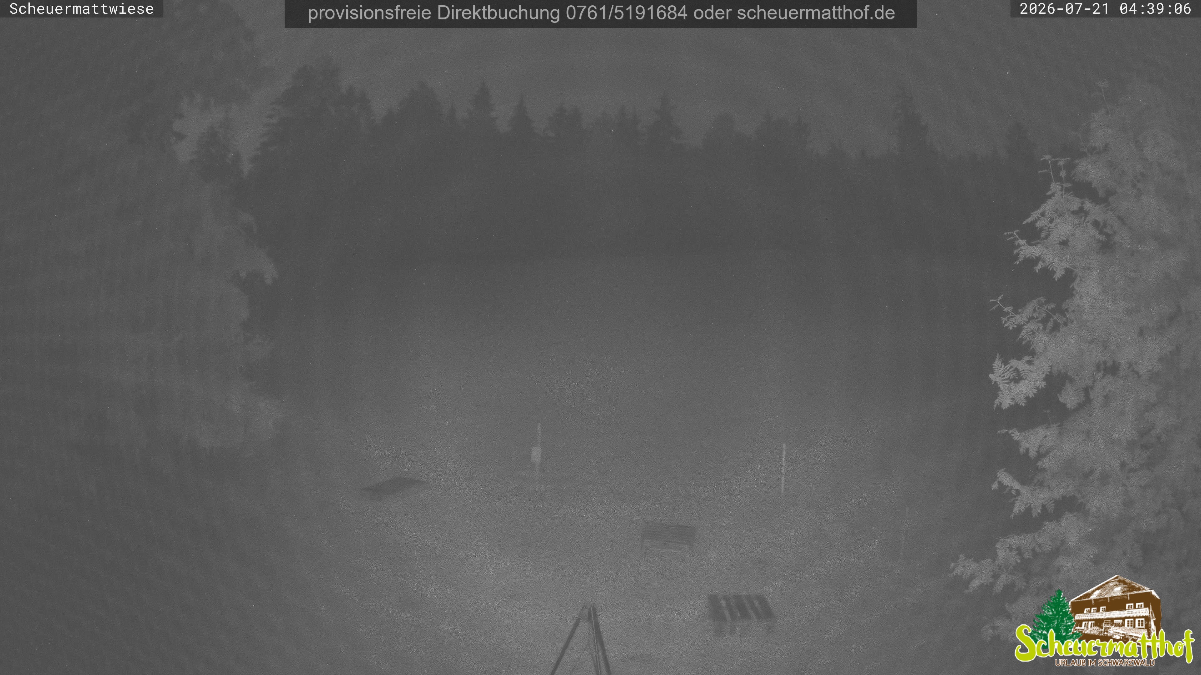 Archiv Foto Webcam Todtnauberg - Scheuermattwiese