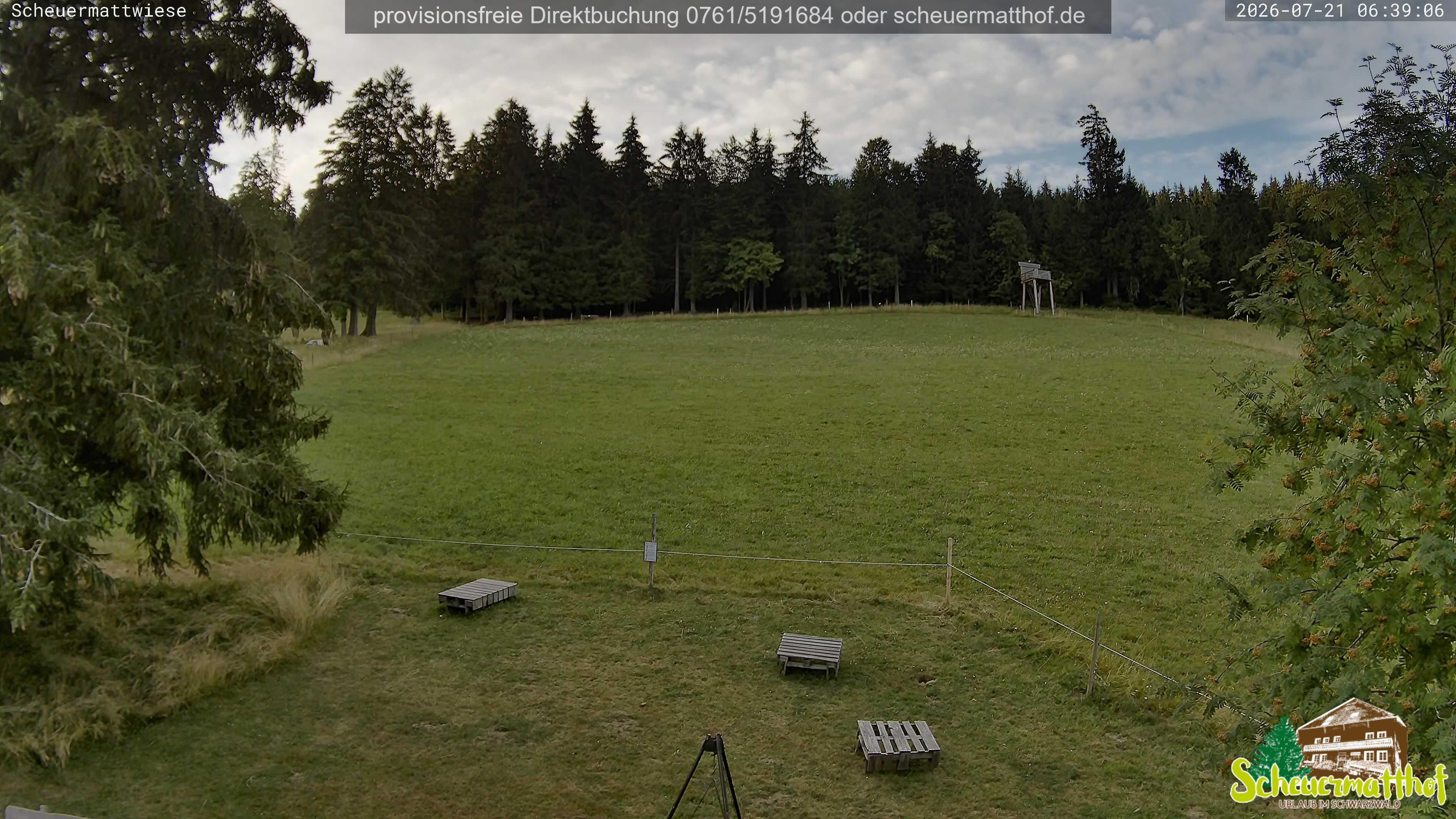 Archiv Foto Webcam Todtnauberg - Scheuermattwiese