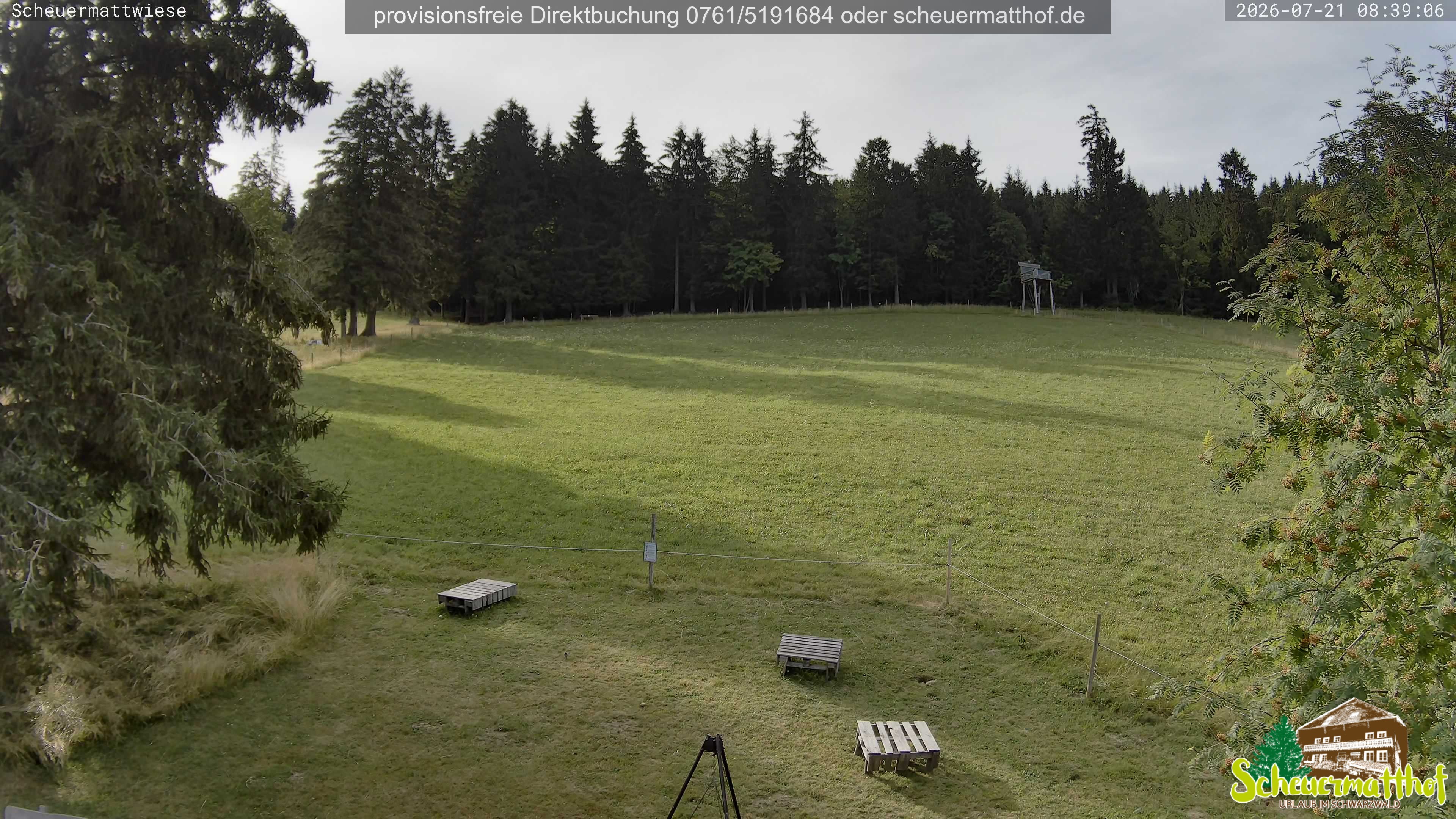 Archiv Foto Webcam Todtnauberg - Scheuermattwiese